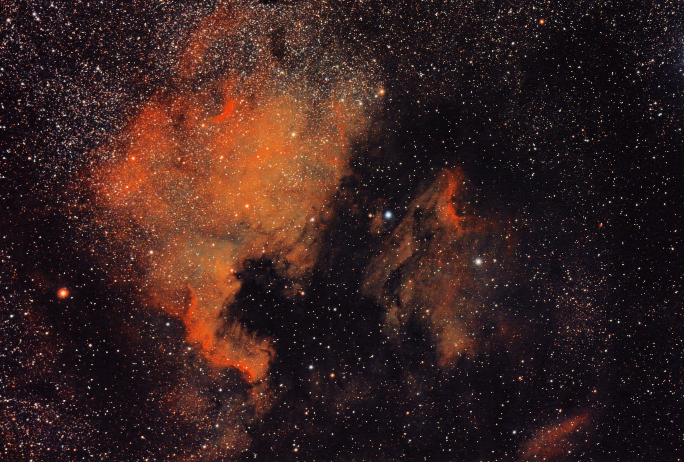 Nebulosa Nord America (ngc 7000)