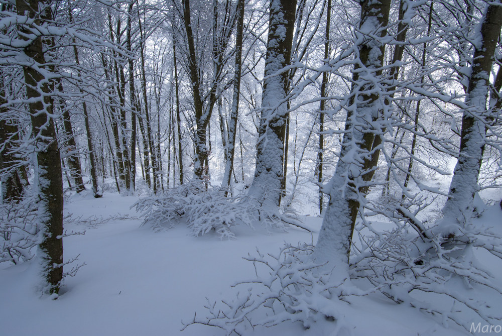 la quiete dopo la tempesta