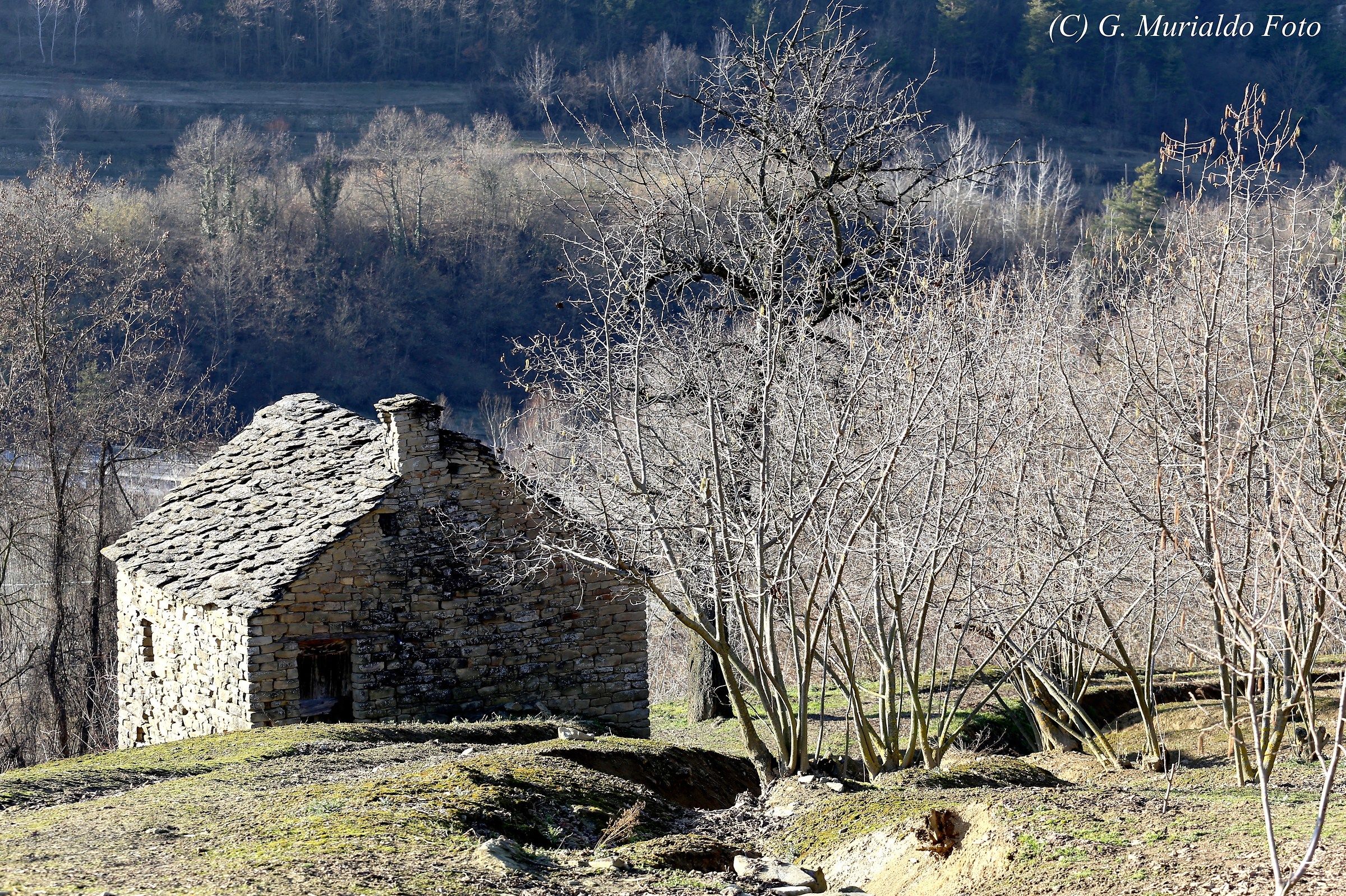 Ciabòt delle Rutte (Bosia)