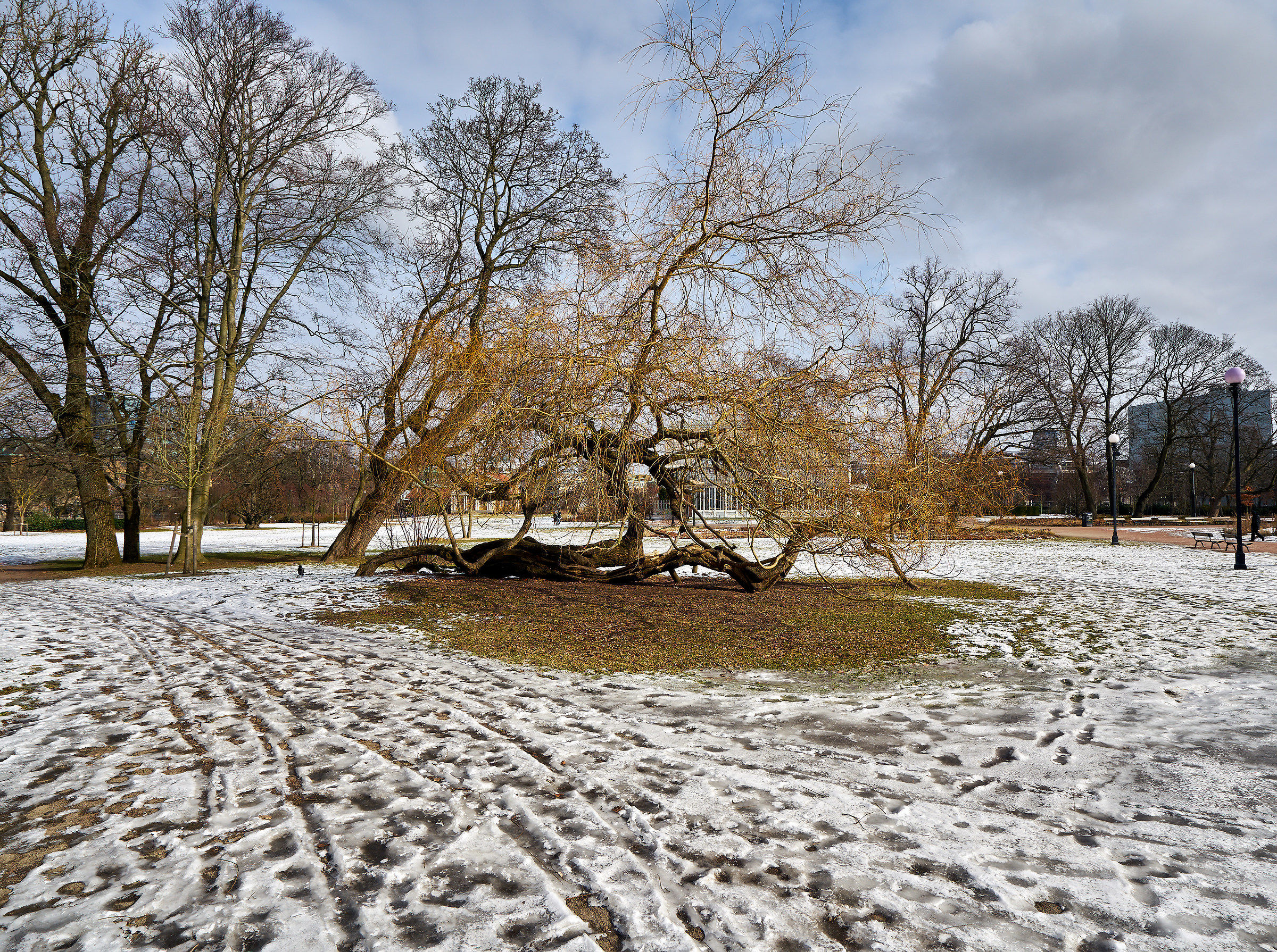 We help to get up ...