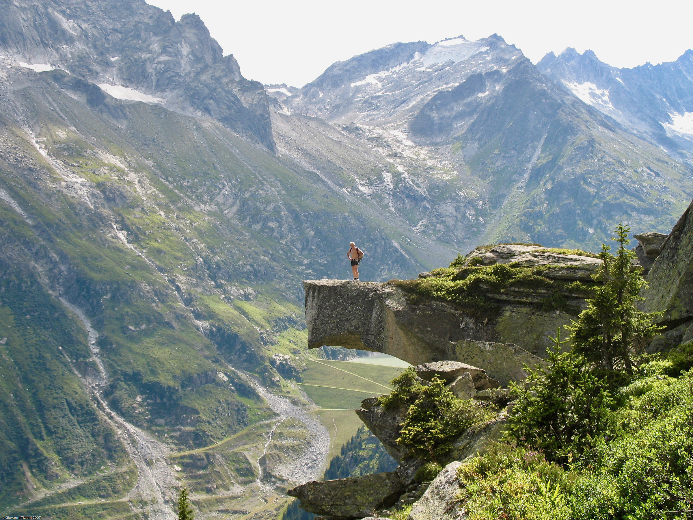 Sulla testa dell' aquila