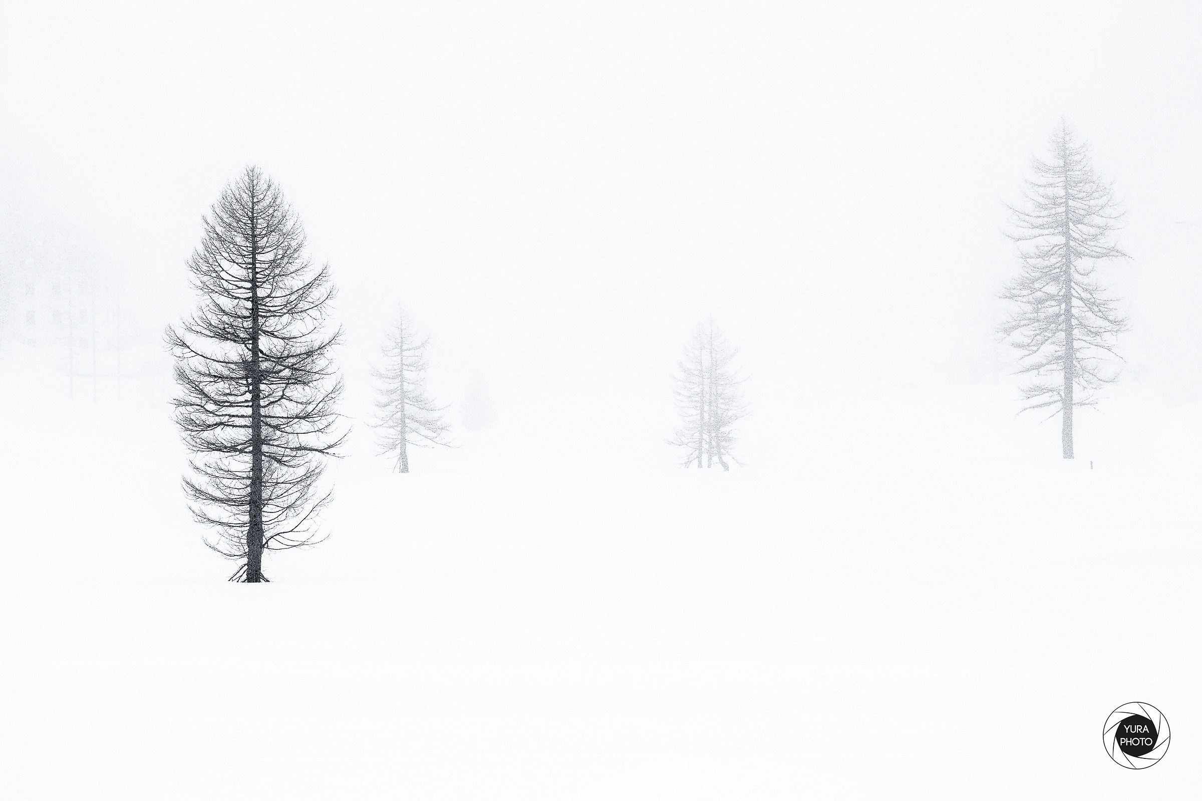 Pino and his brother Libero