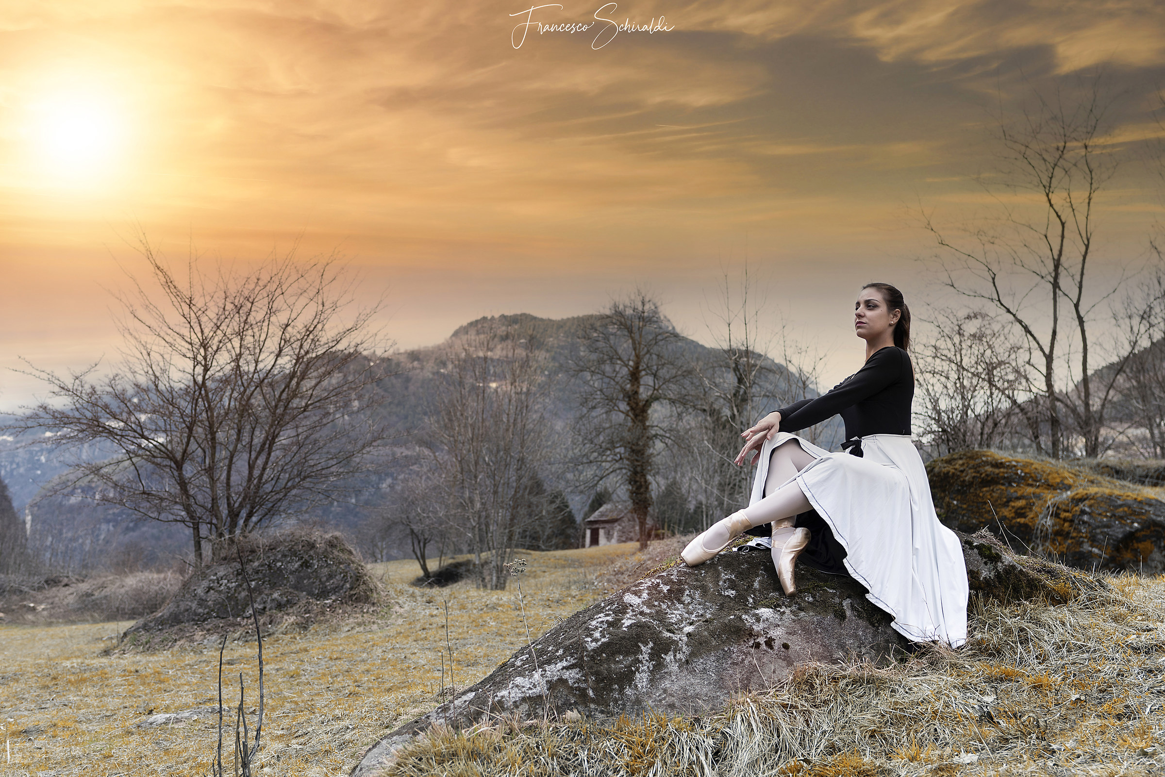 The fantastic dancer