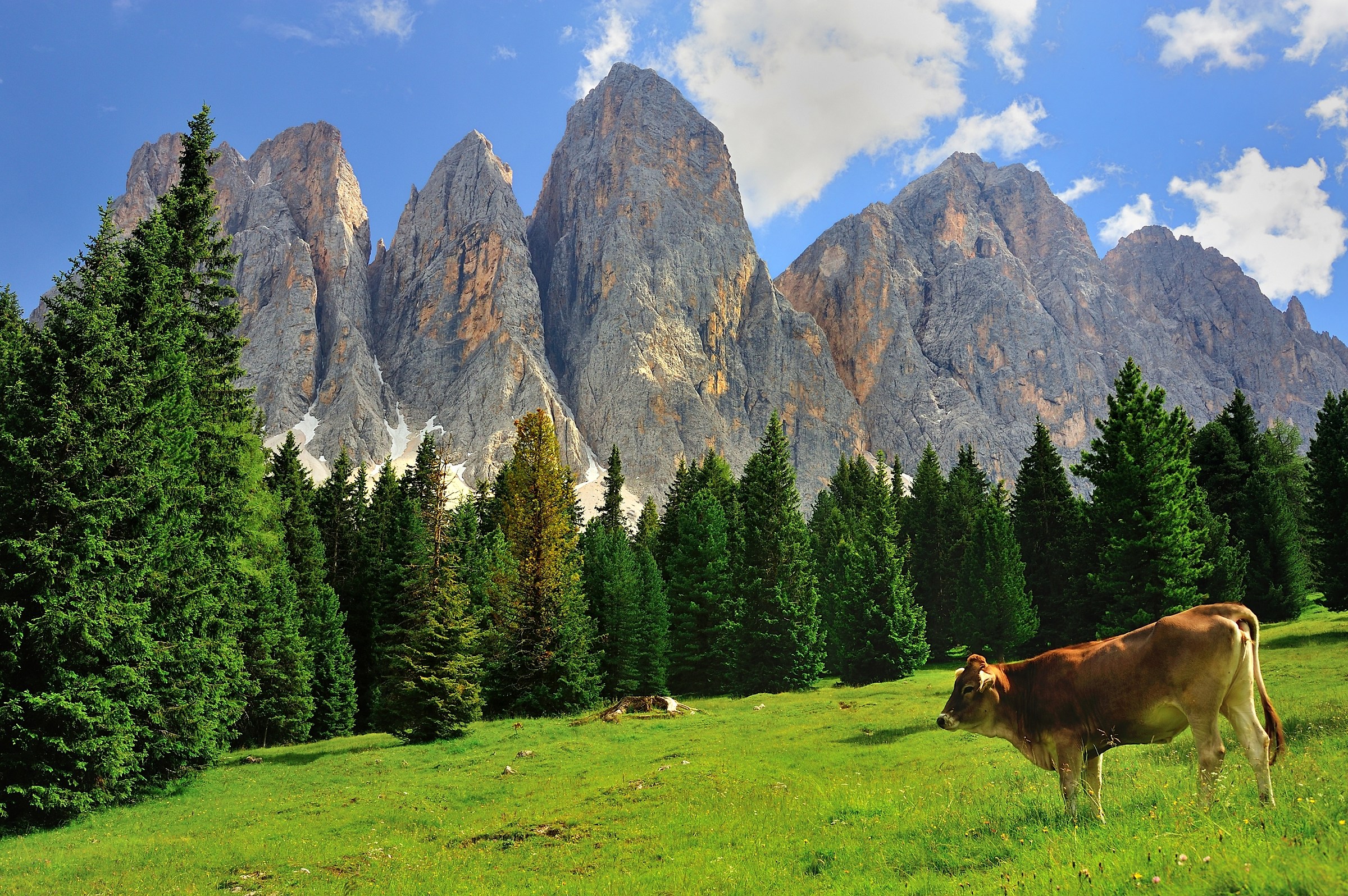 from the Val di Funes ...