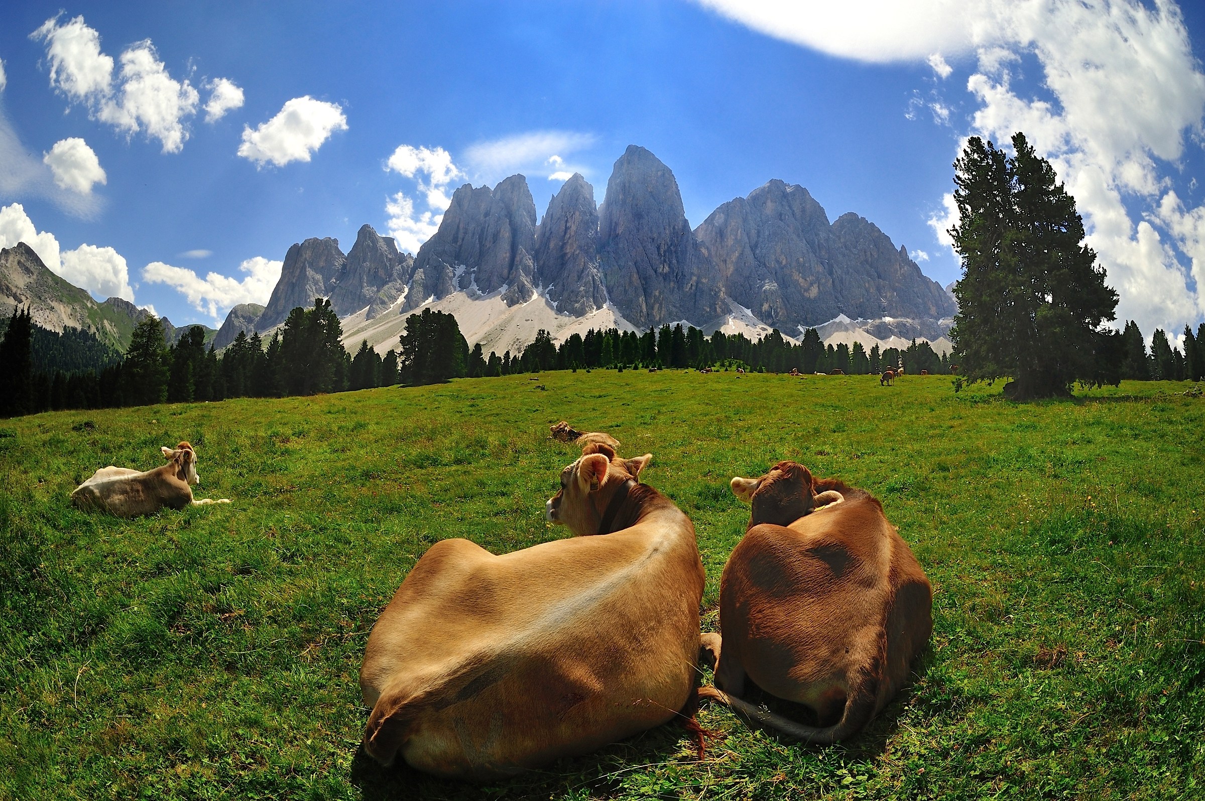 looking at the Odle ...