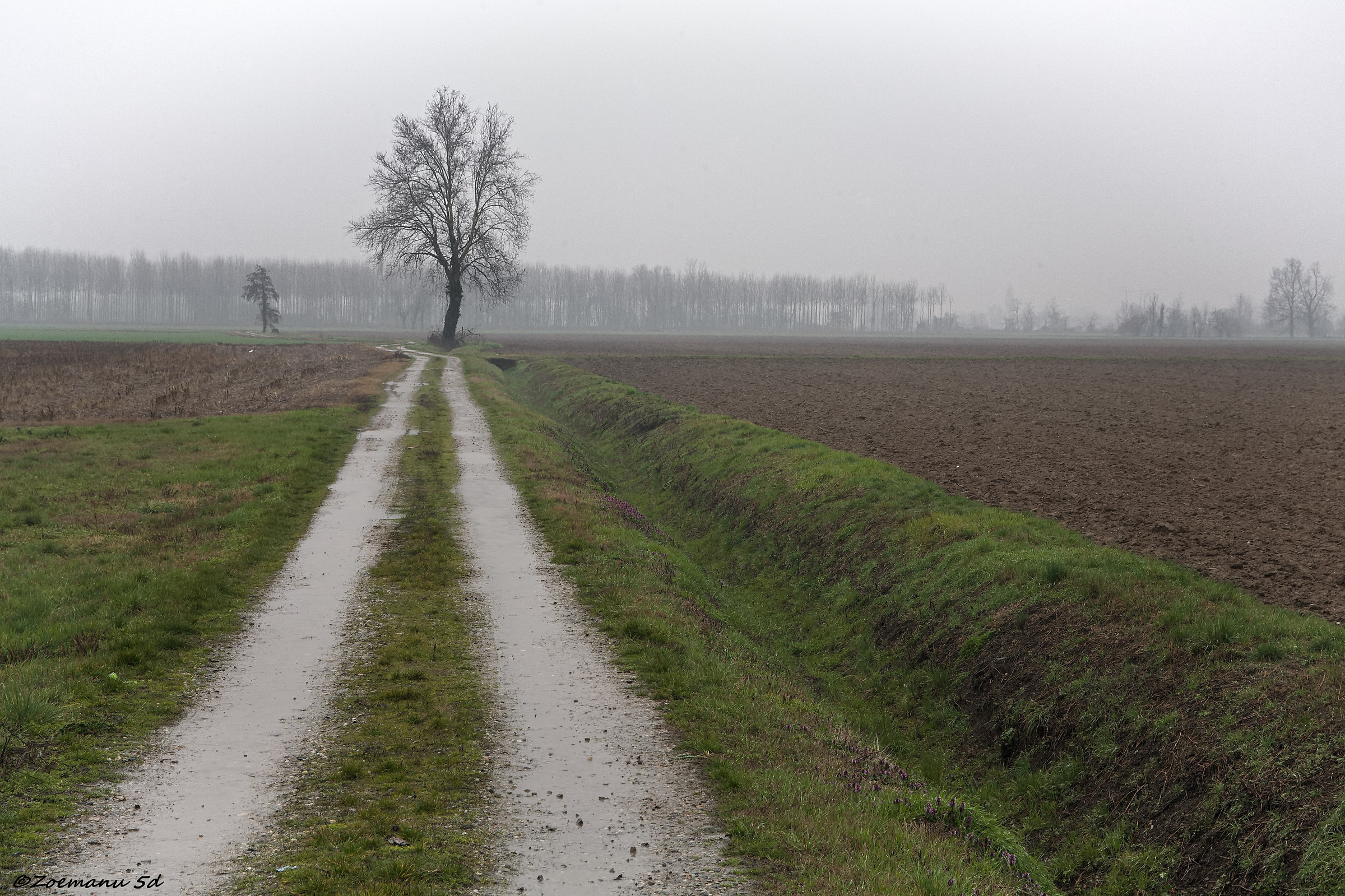 La dove finisce la strada ...