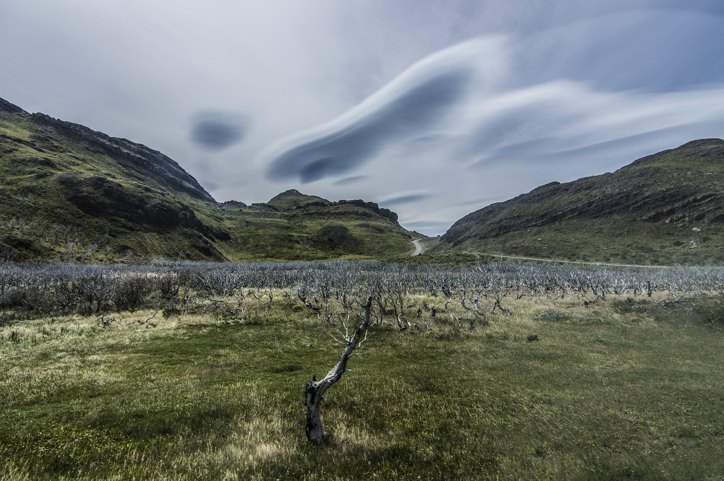 alberi bruciati arrivando al salto Grande