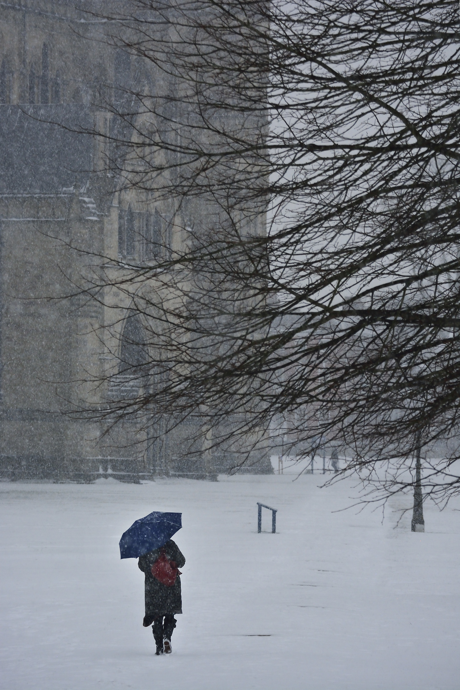 Quando la Siberia è arrivata a Salisbury - "Blue...