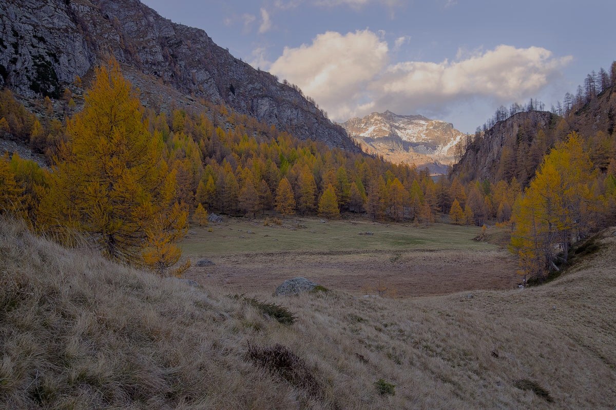 The cradle of Devero