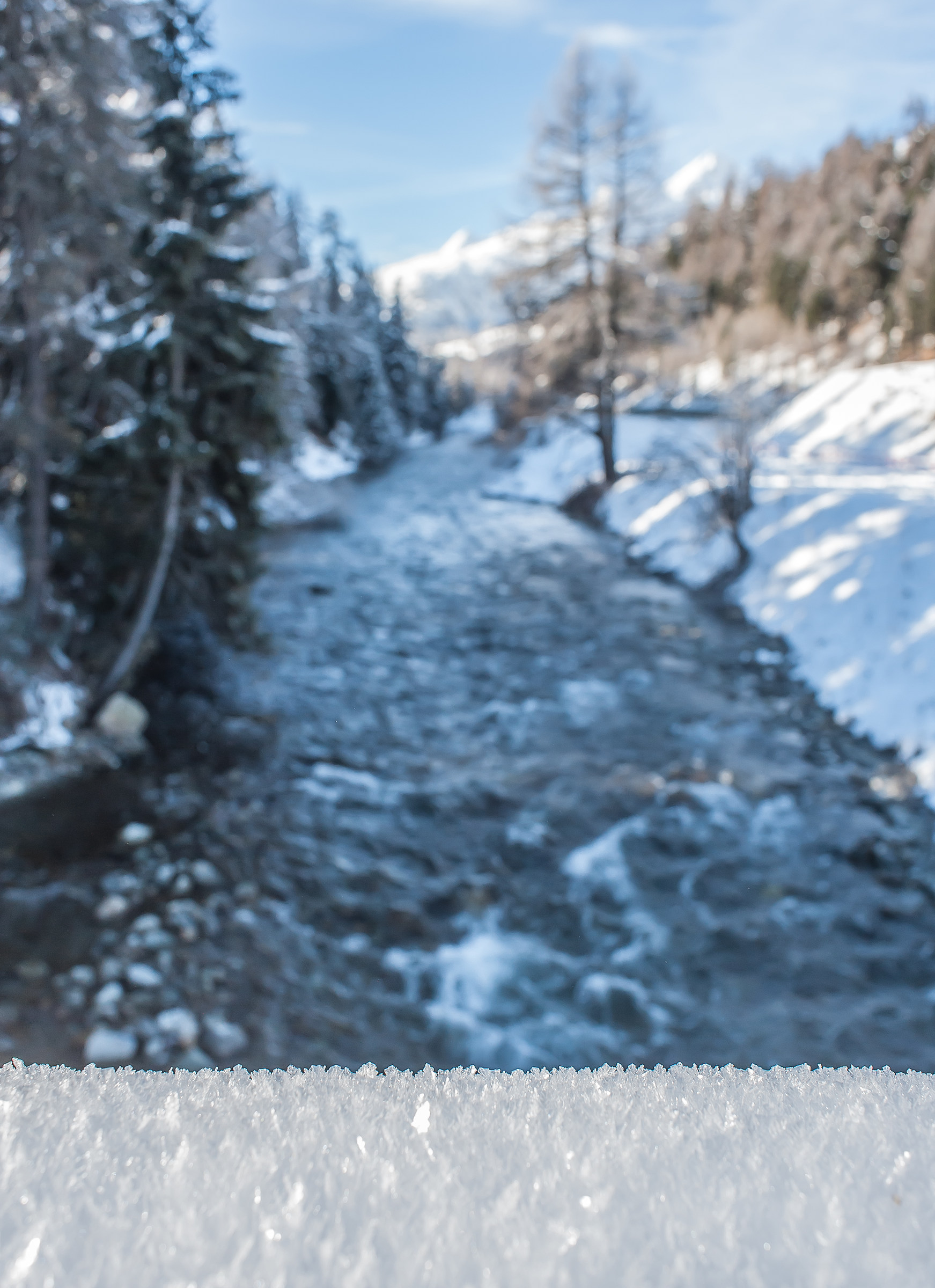 uno sguardo dal ponte ghicciato