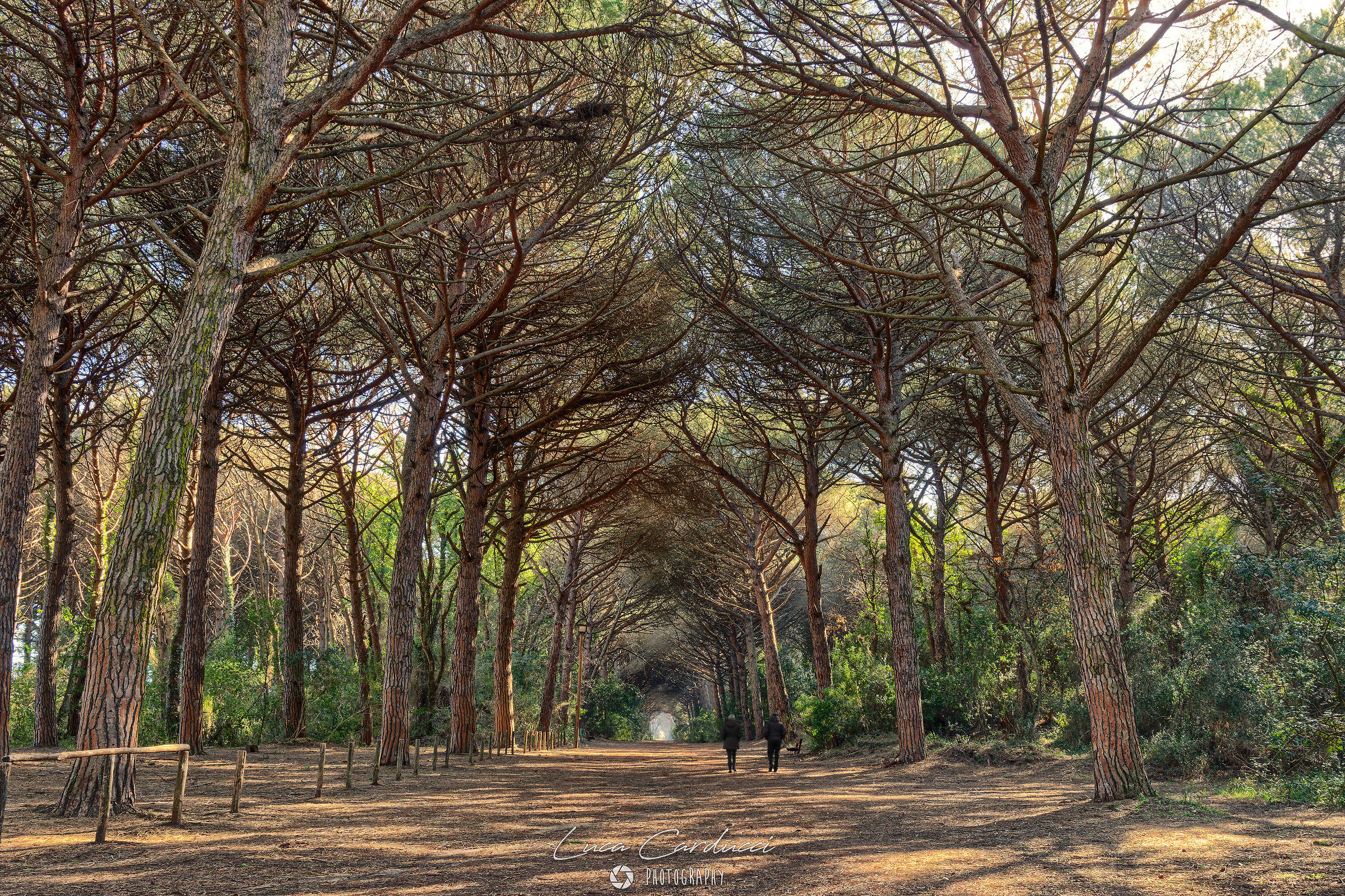 Viale dei Cavalleggeri