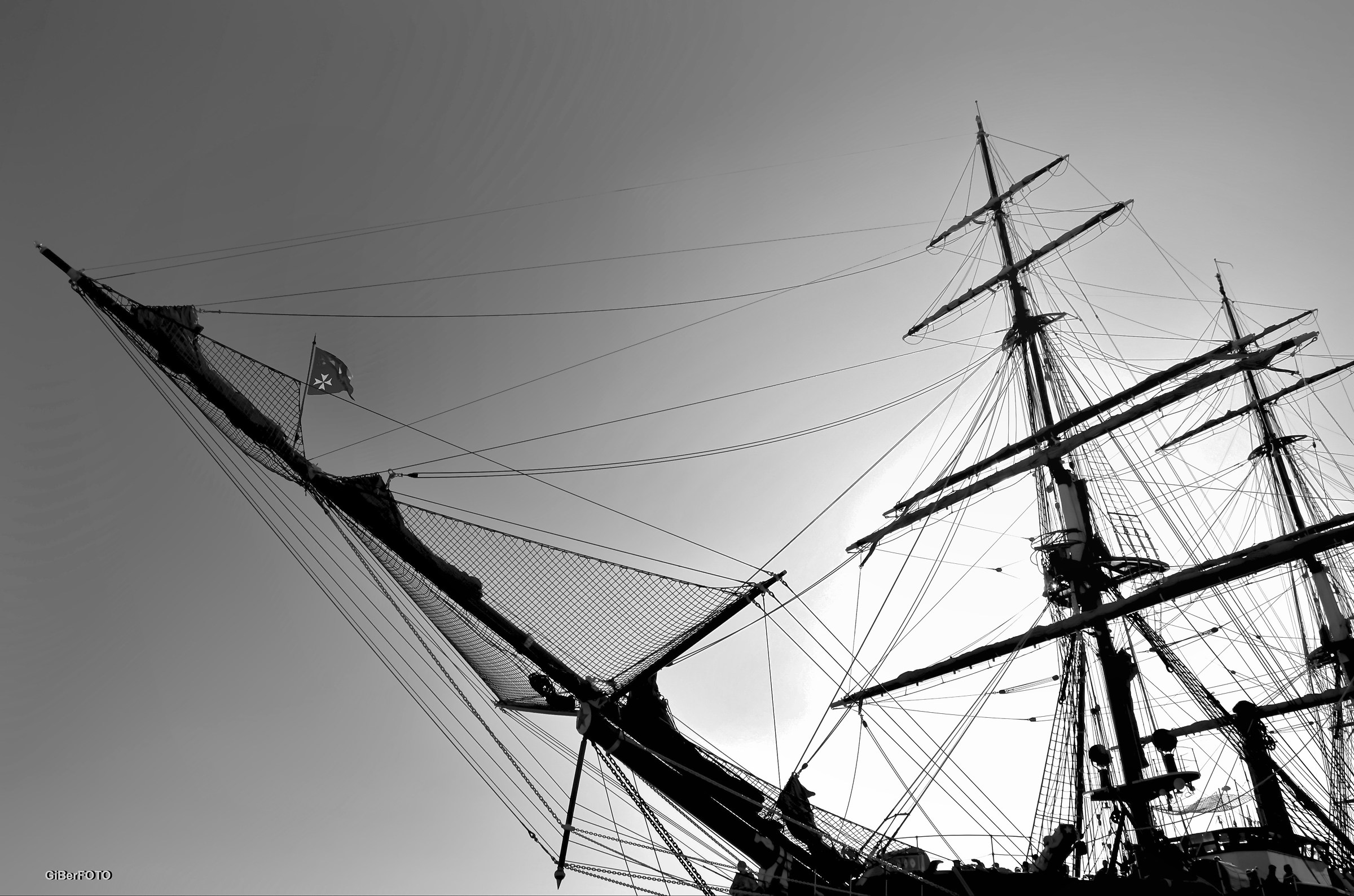 Spiega al vento le vel!