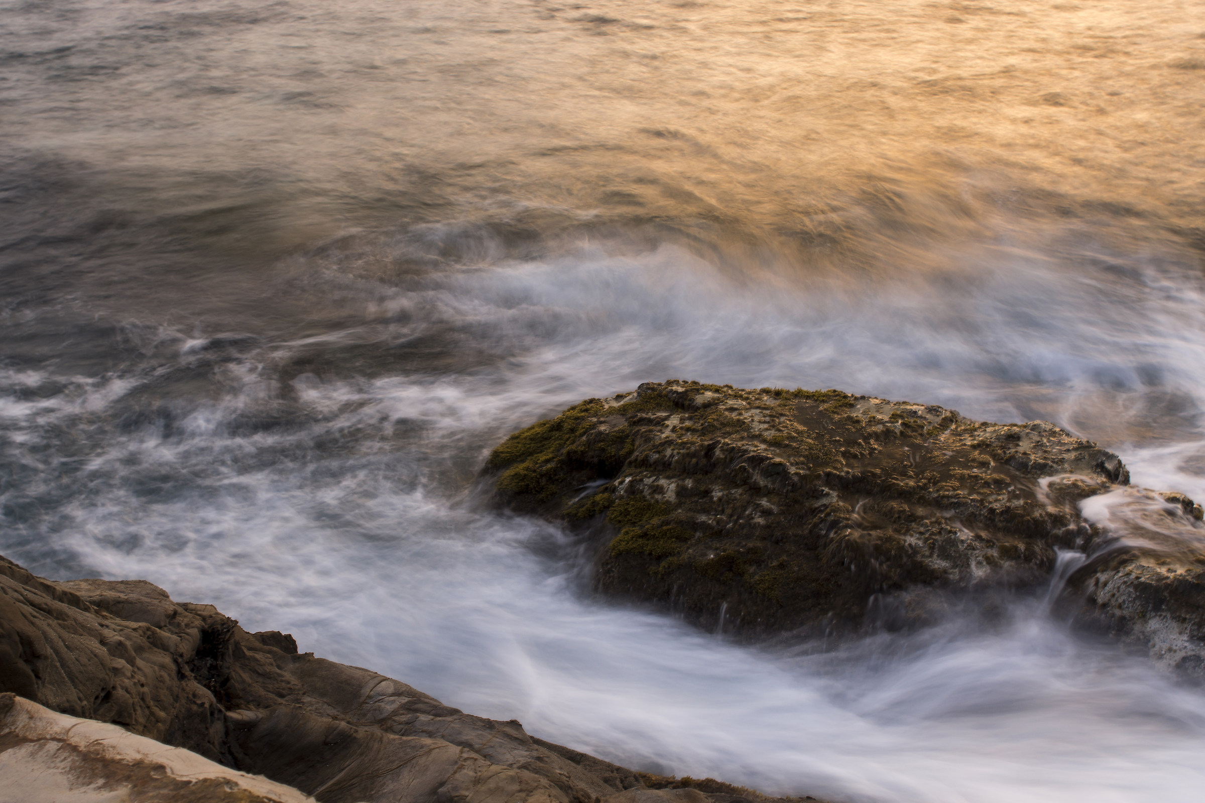 Scogli piatti Calafuria (li)