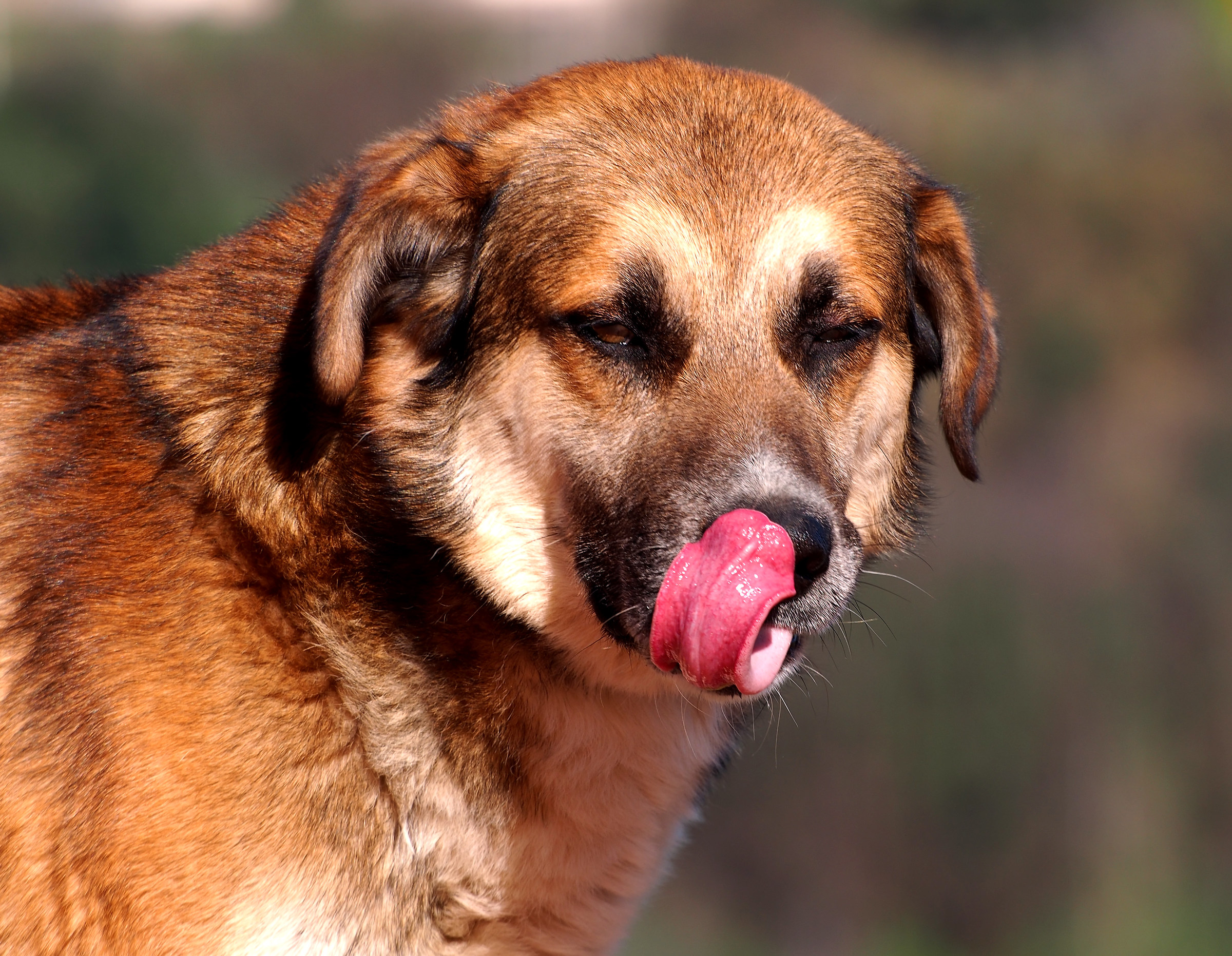 Too good, mouth-watering!