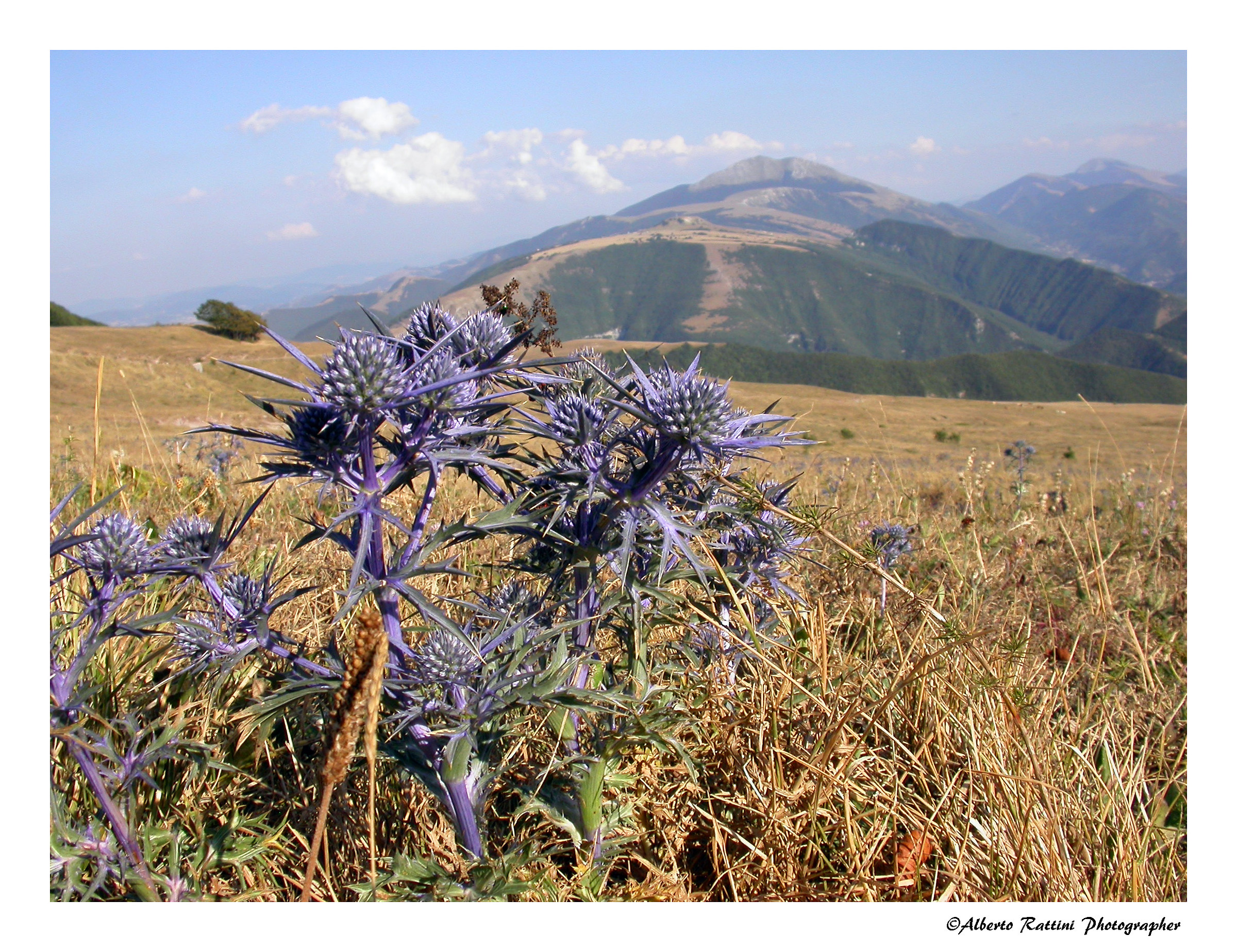Appennino
