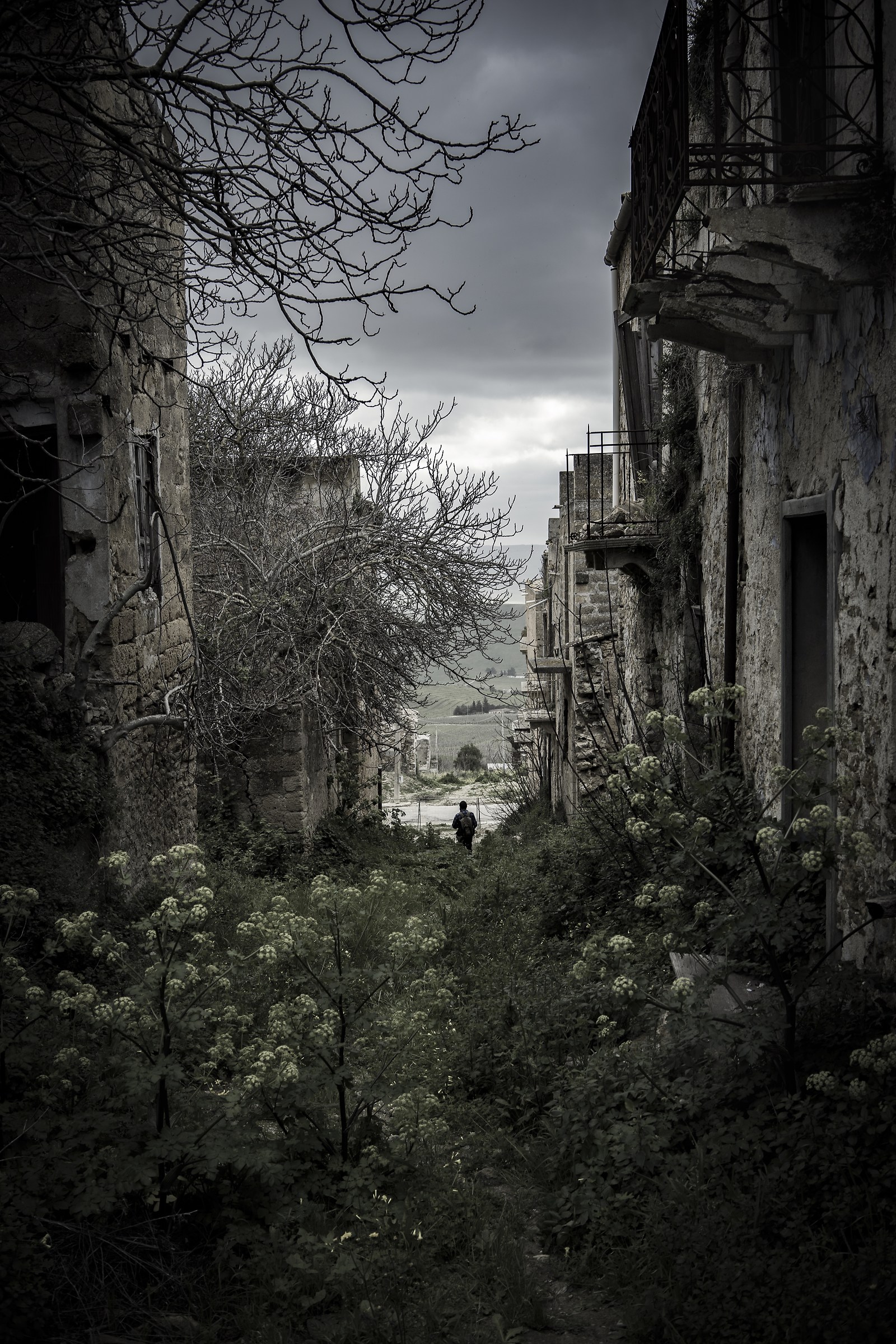 Ruderi di Poggioreale - Poggioreale Ruins