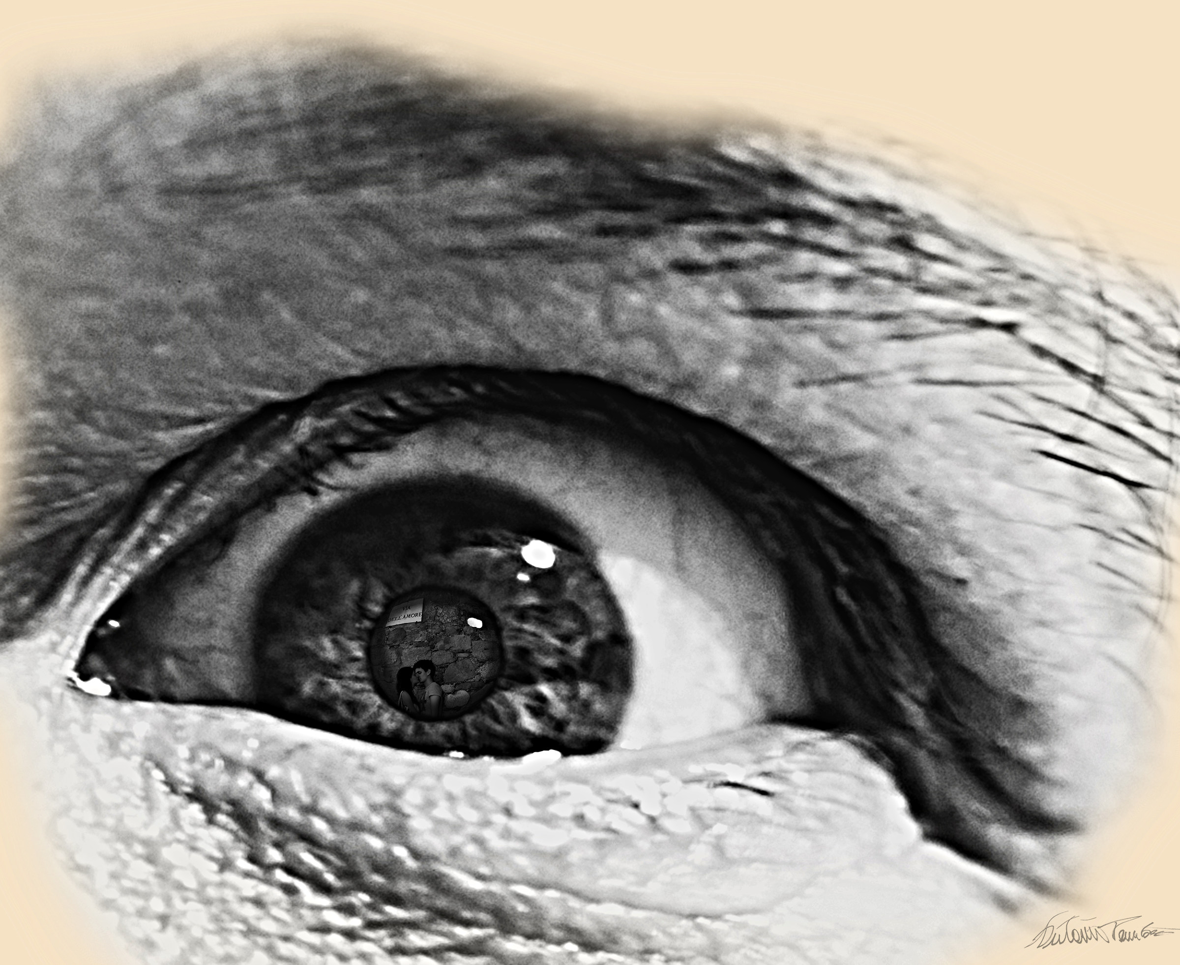 Segni del presente,,riflessi del passato,,,