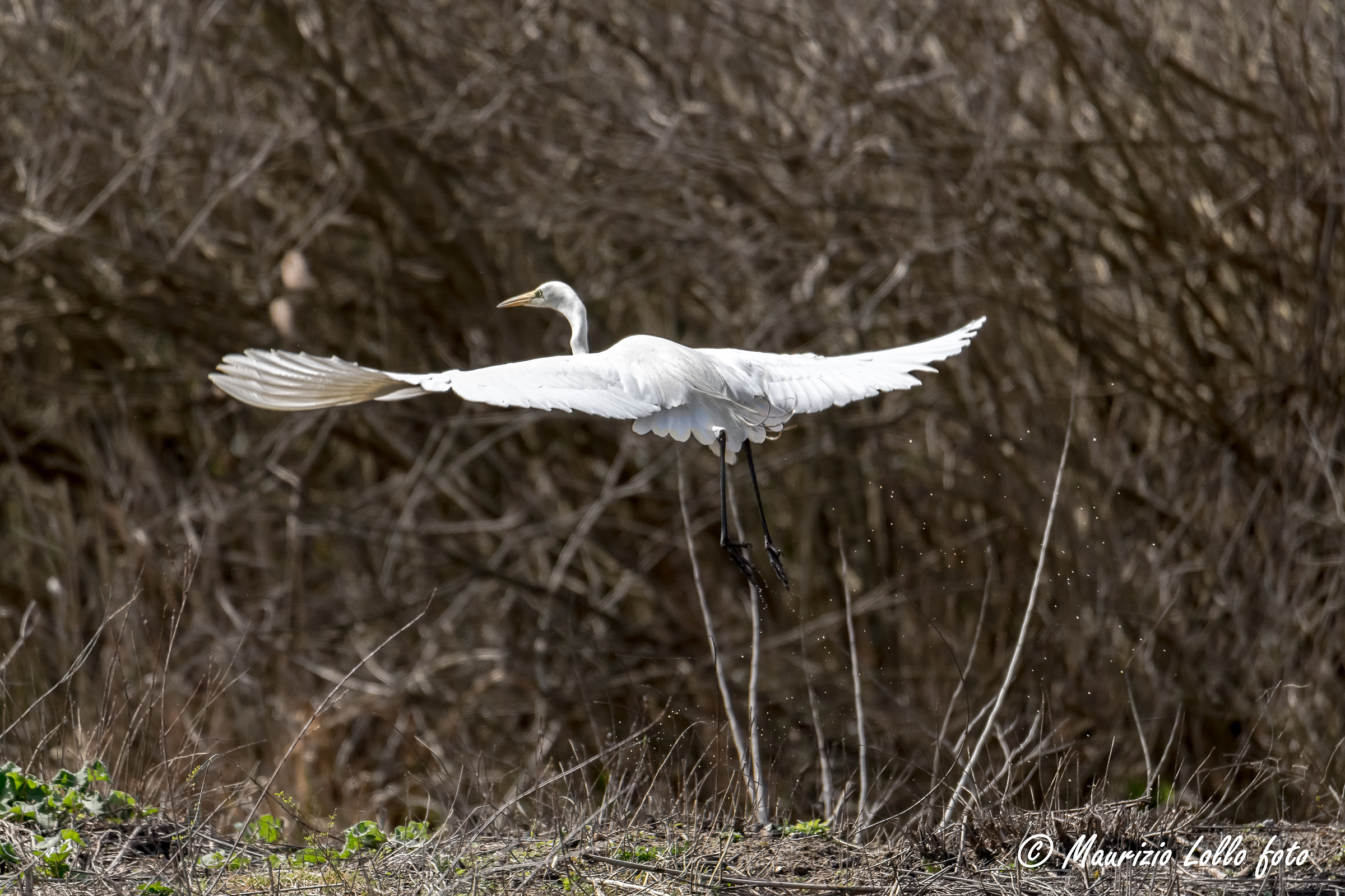 Ciao belli ... io me ne vado!