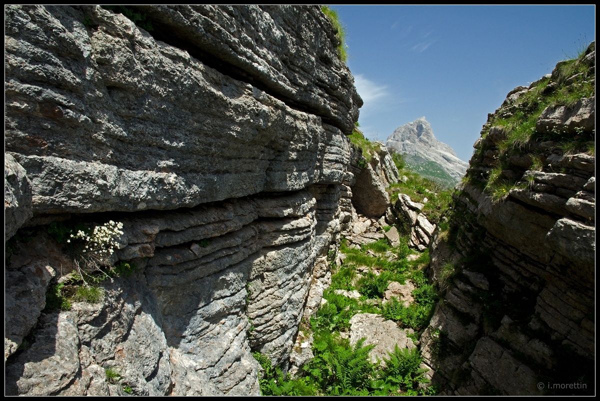 The Books of the mountain Lodina