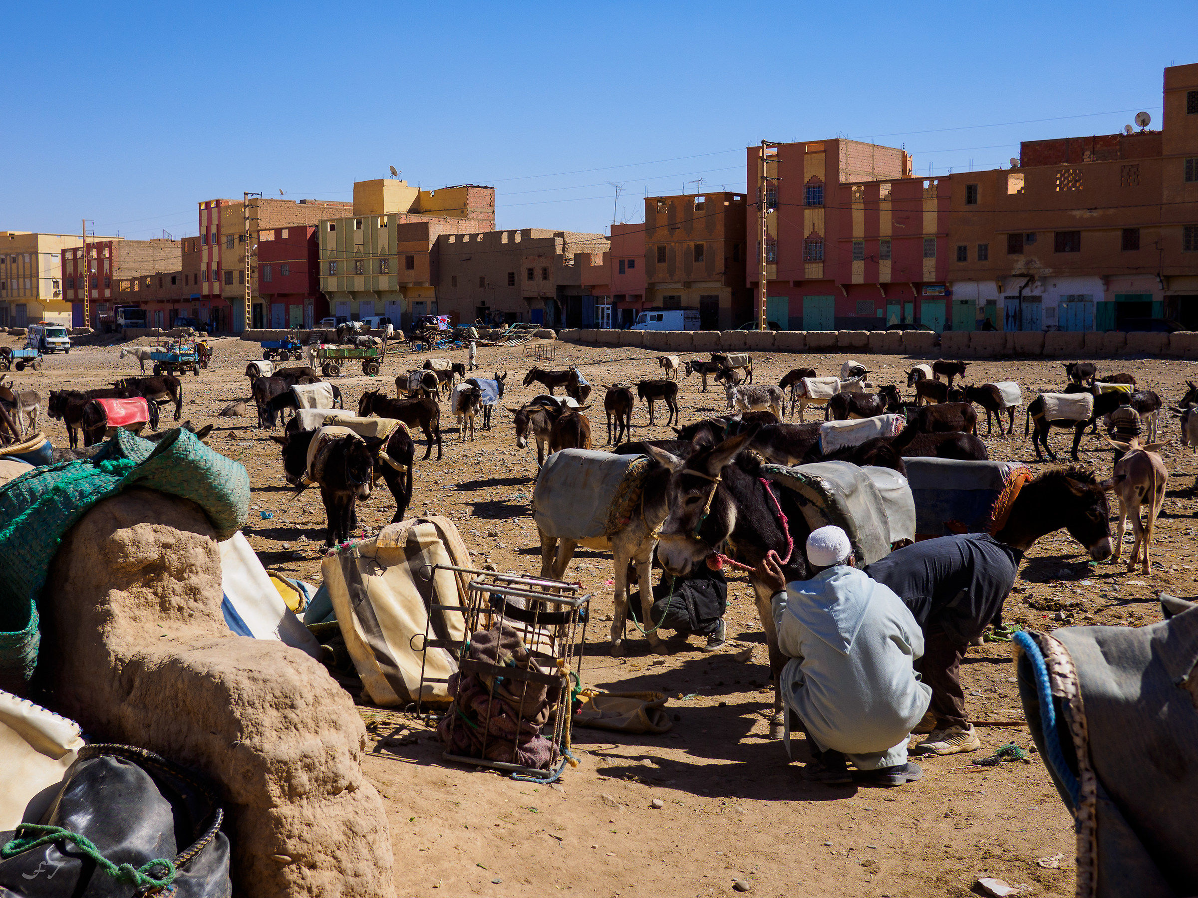 Parking of the Donkeys - Rissani