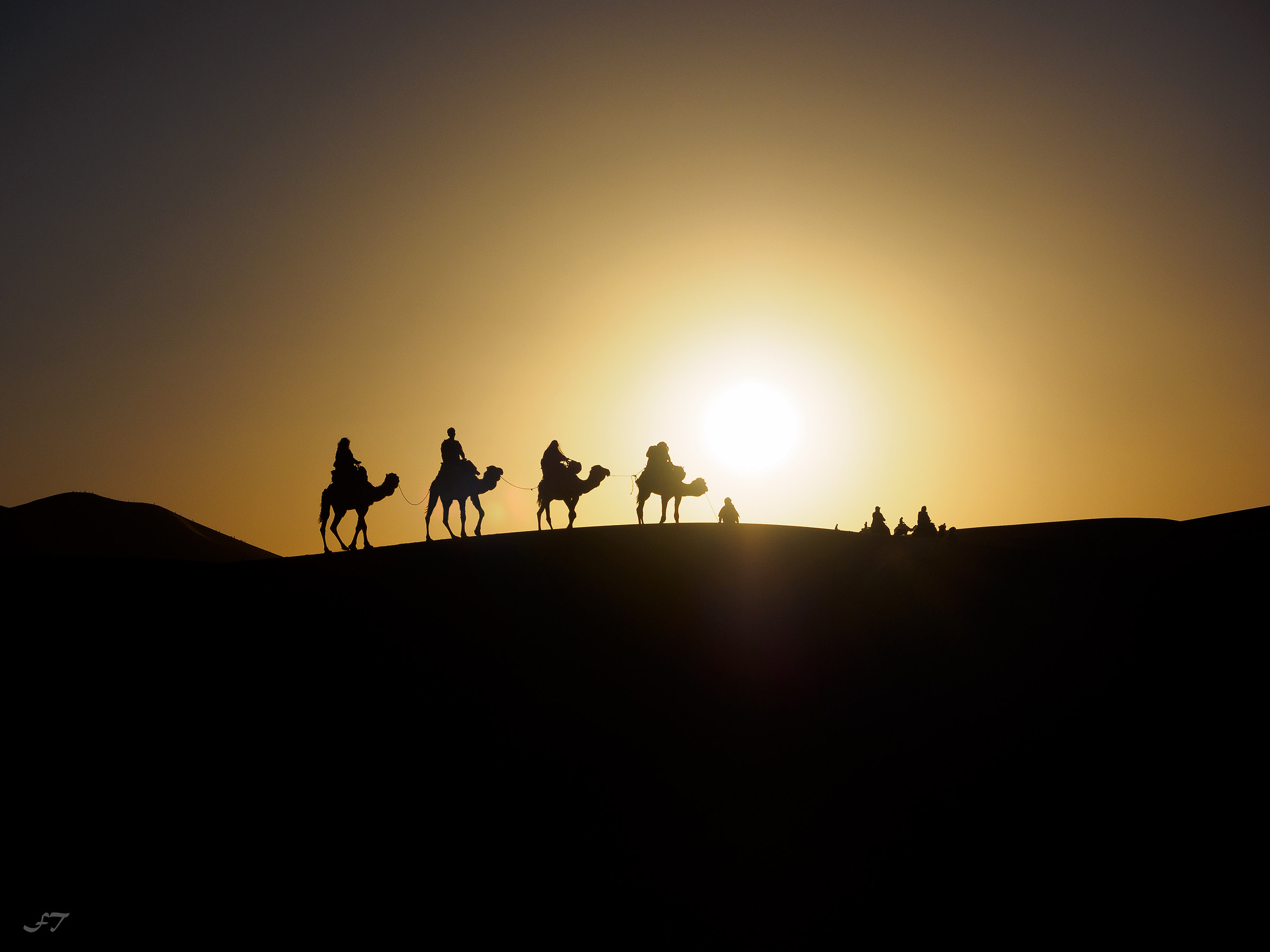 Sunset in the Desert