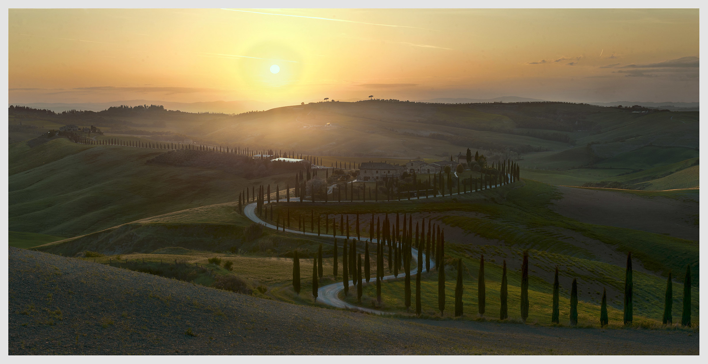 Asciano_Podere Baccoleno