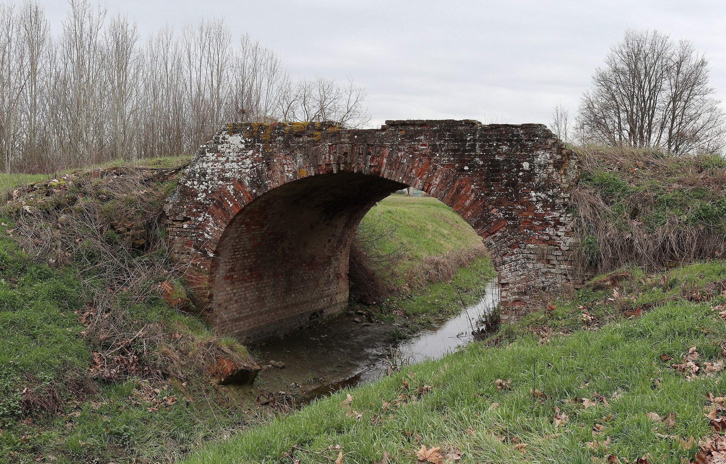 Walking with the M6.