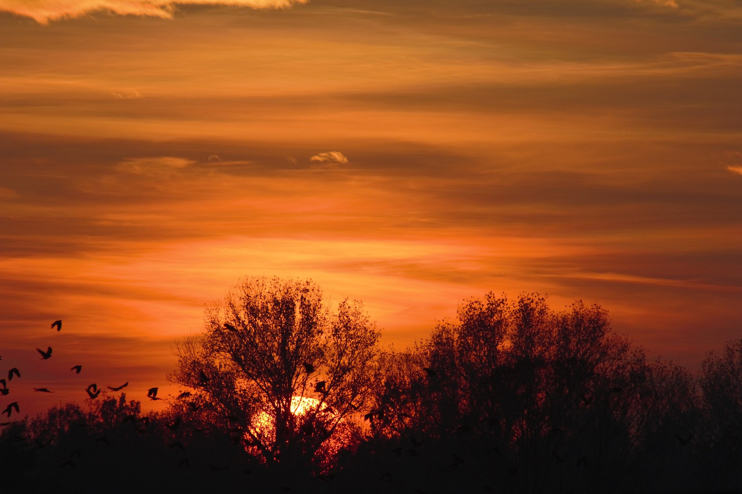 La camera da letto del sole