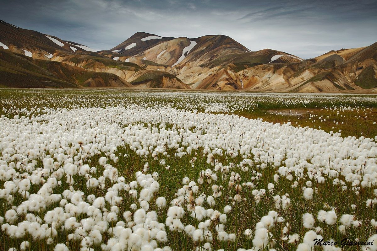Iceland Landmannalaugar