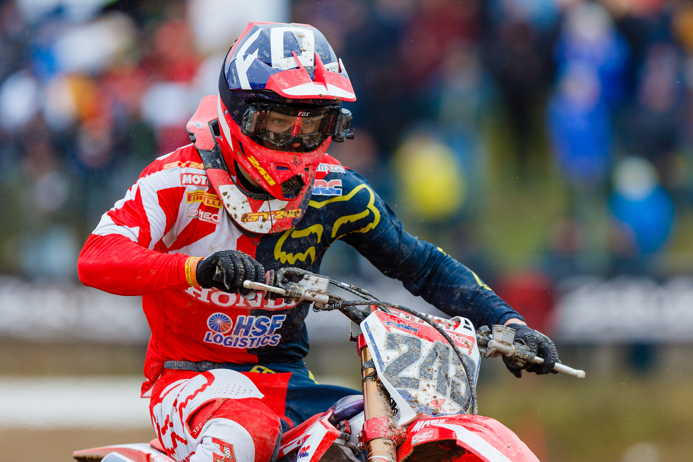 Tim Gajser #243 - Mantova 2018
