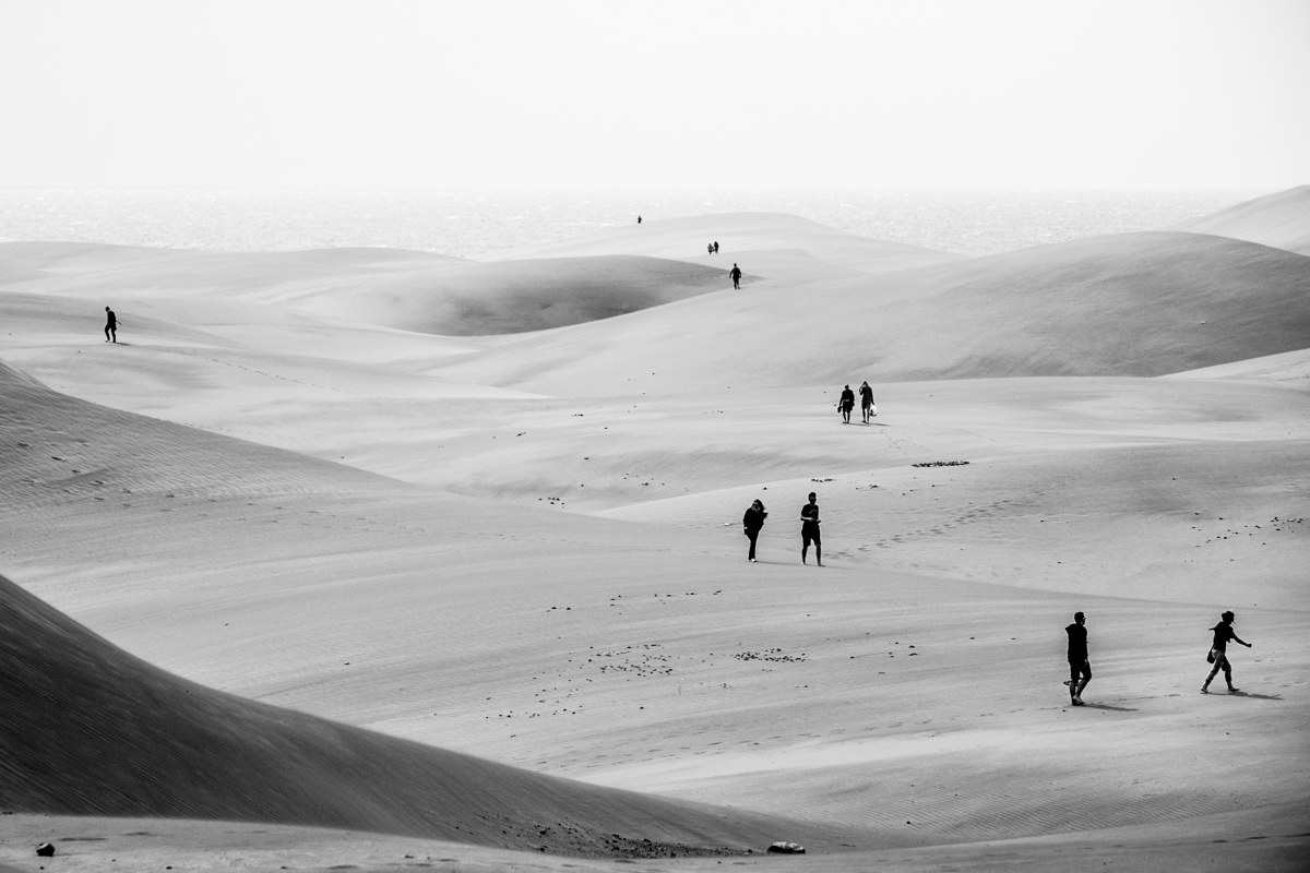 wander in search of ...