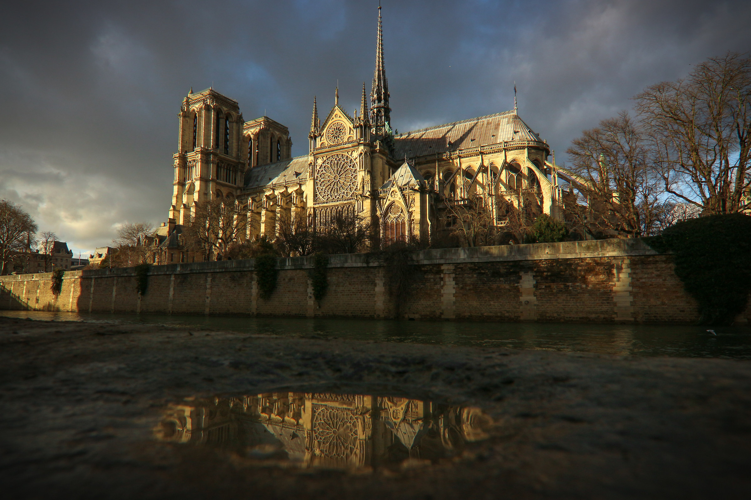 La Signora in Giallo