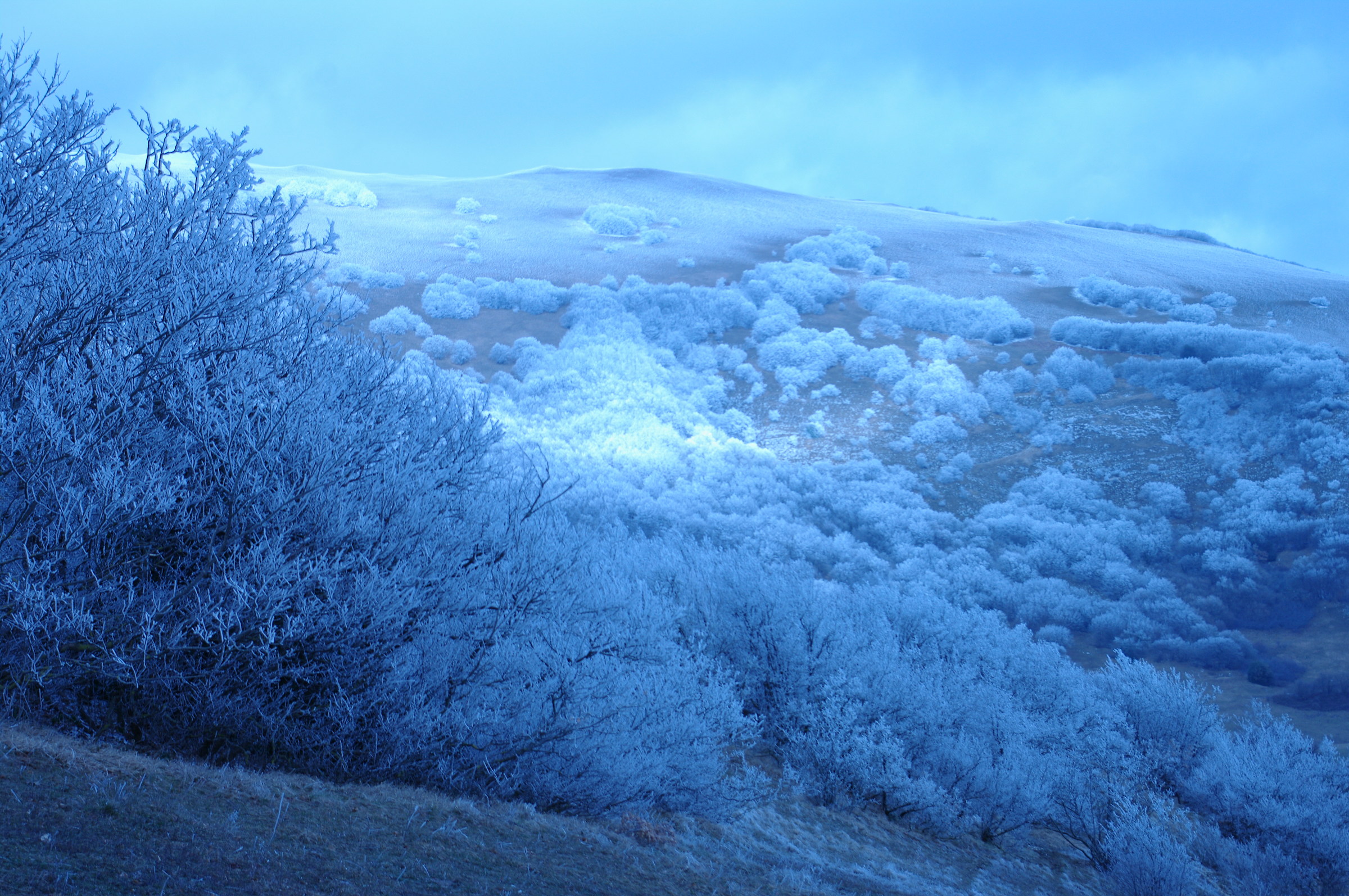 passeggiate d'inverno