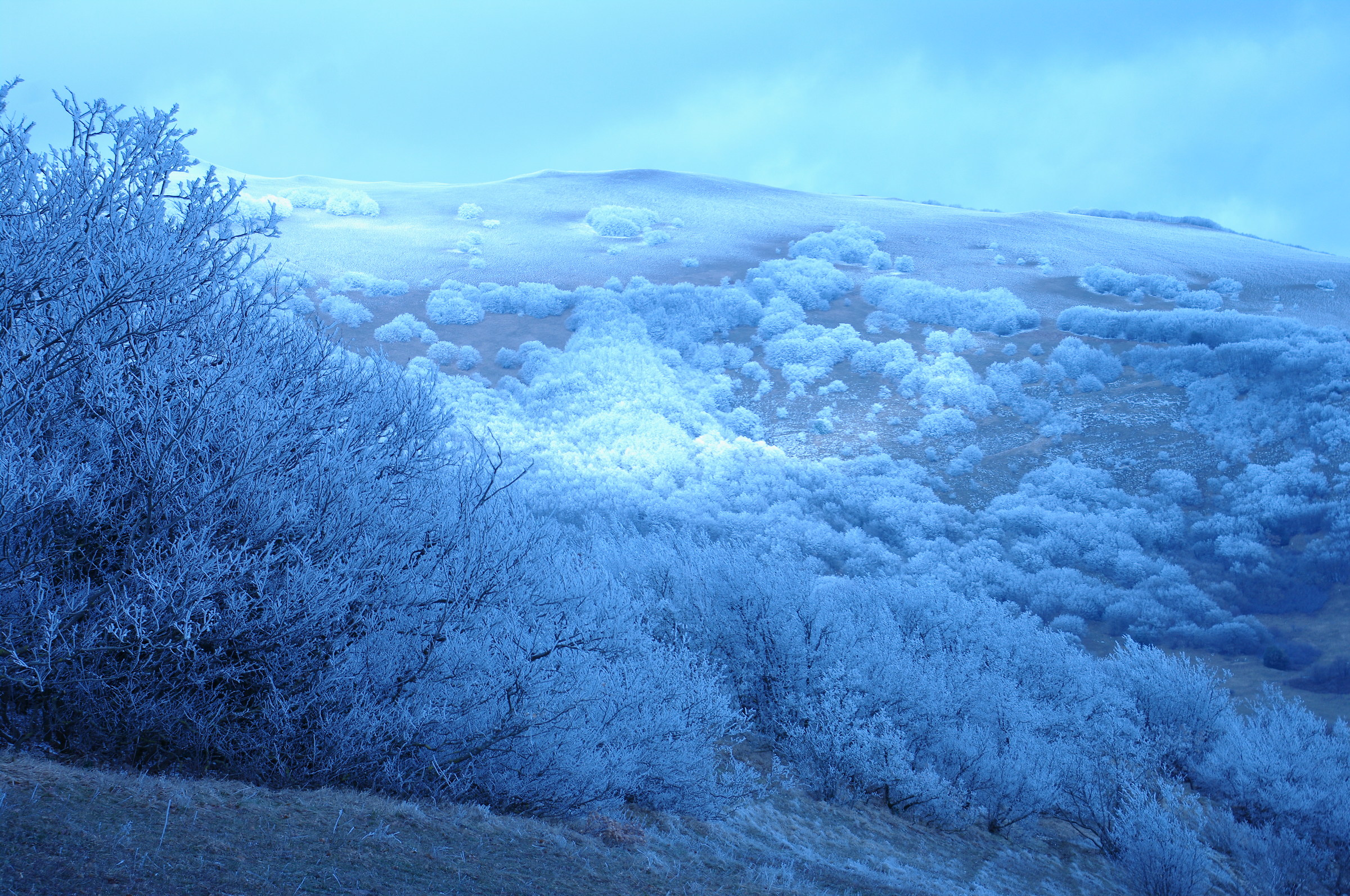 passeggiate d'inverno- serrasanta