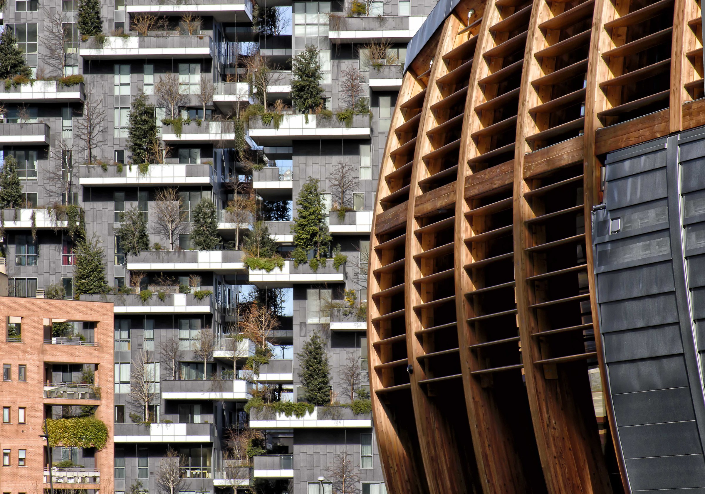 The shark and the whale