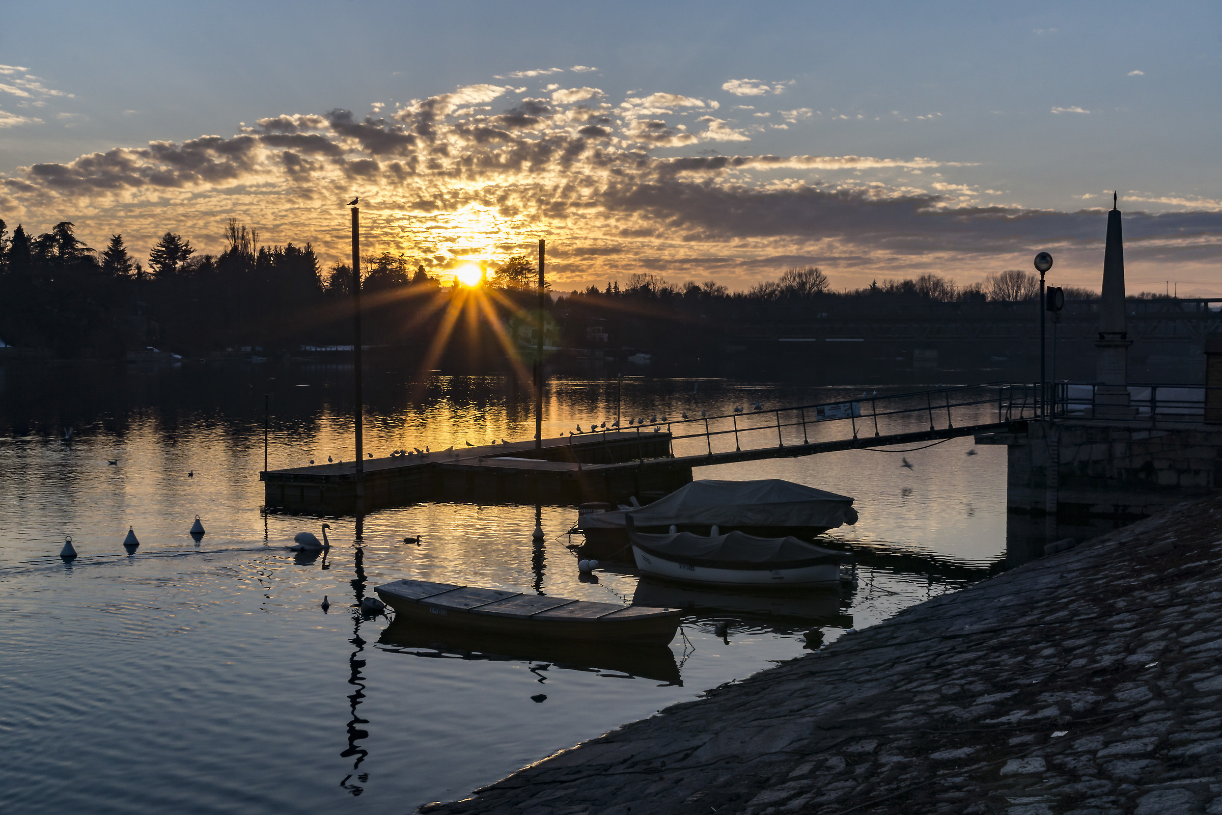 Mercoledì 25 gennaio 2017, 17:02