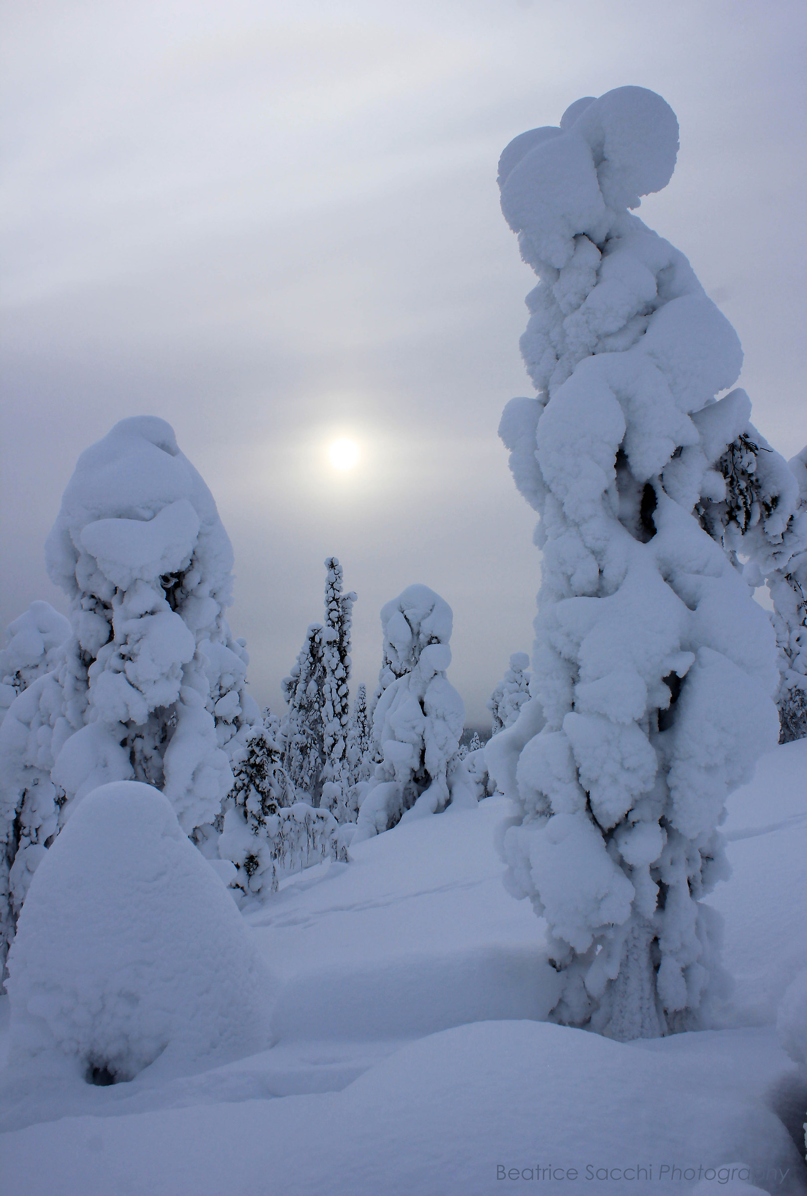 Kinda like a marshmallow