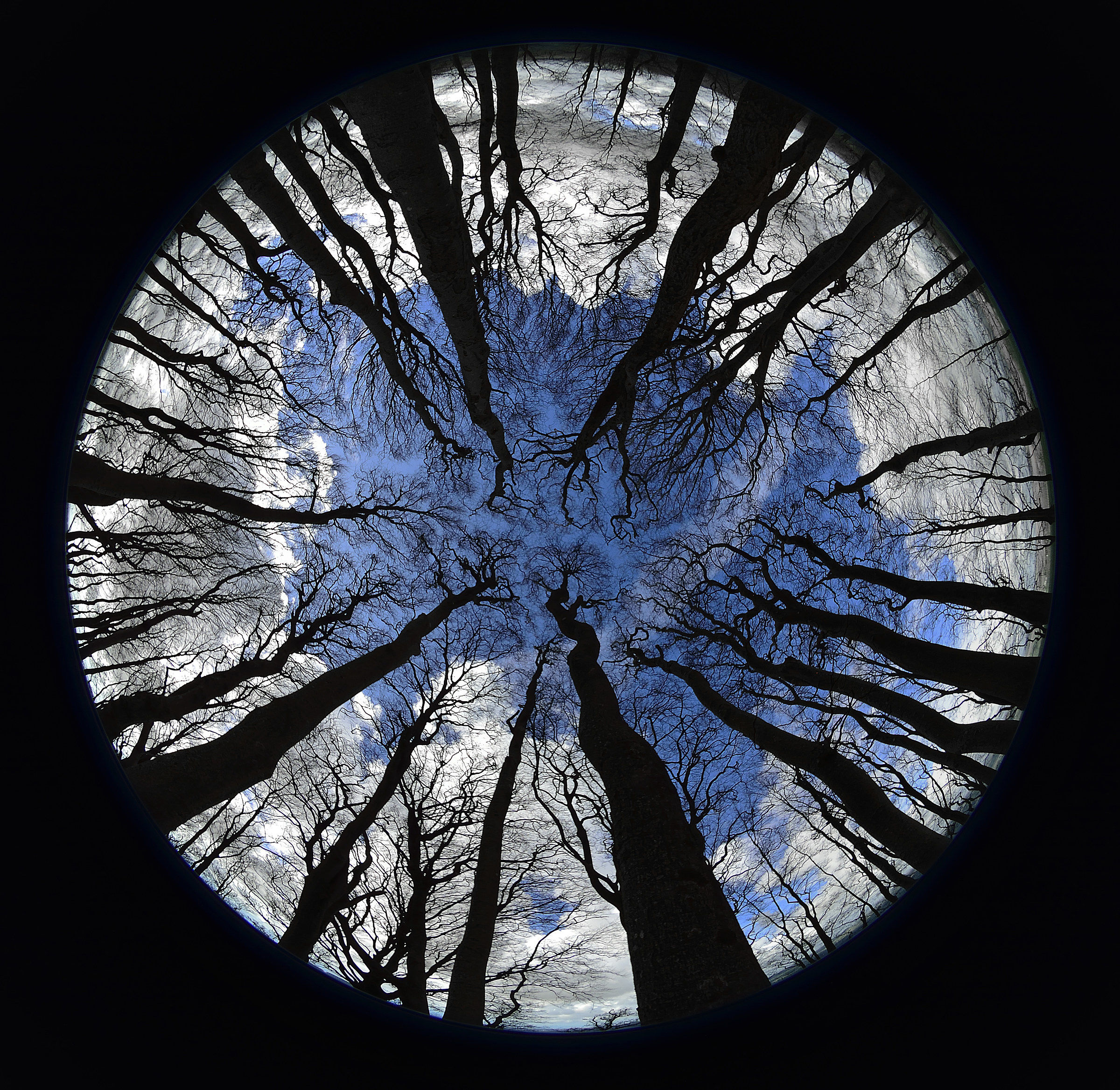 Reaching Up to the Sea in the Sky