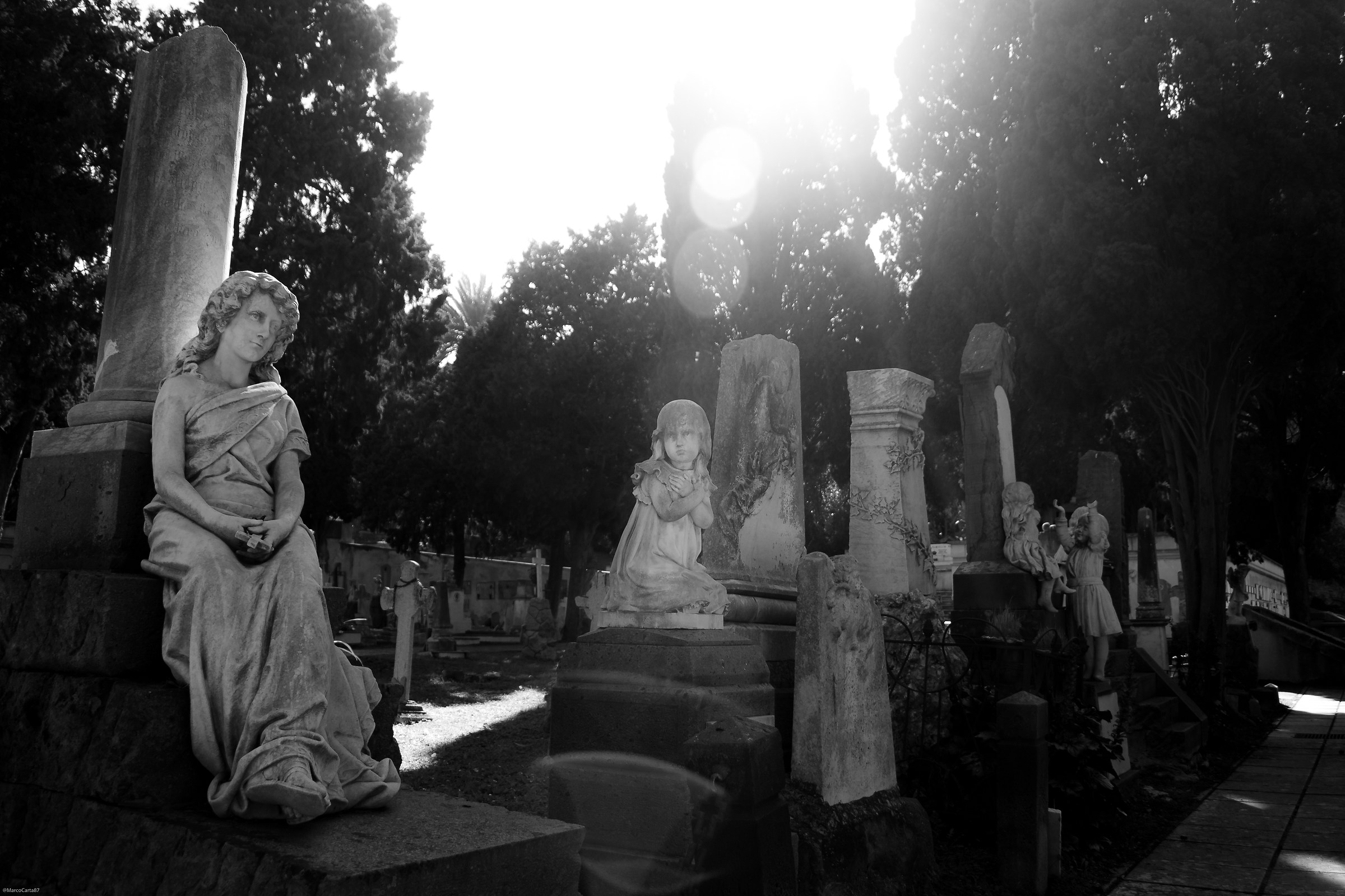 Angel in the Darkness