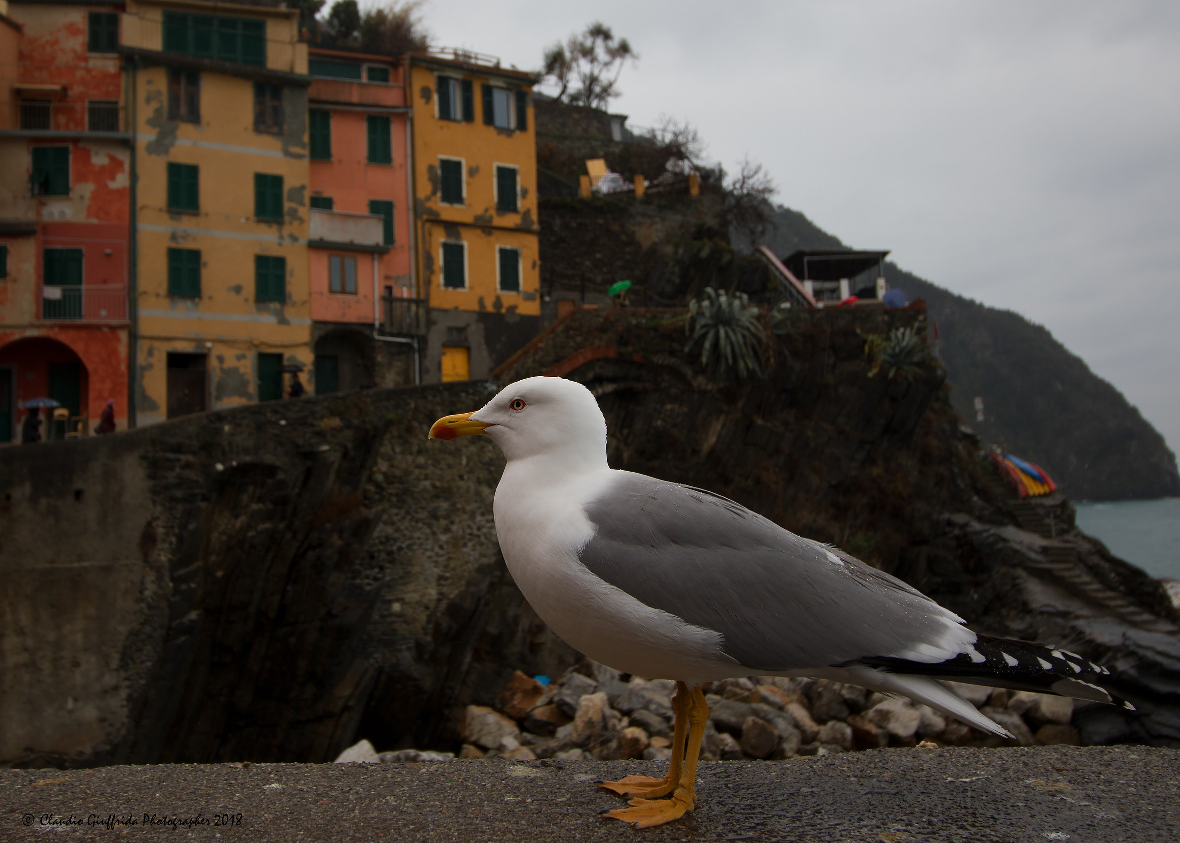 Riomaggiore