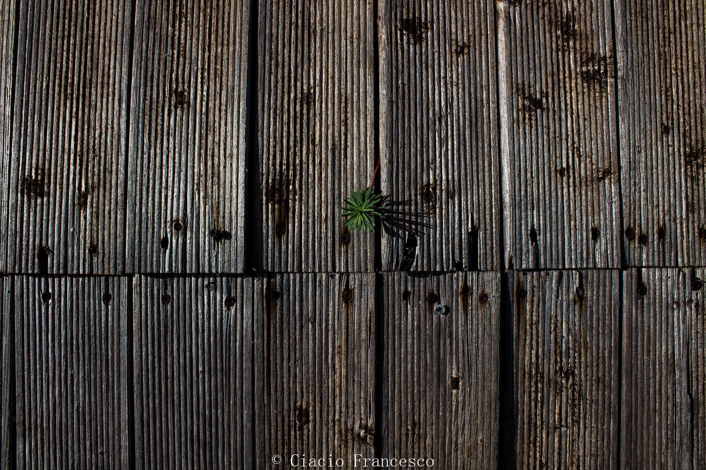 time, strength and passion