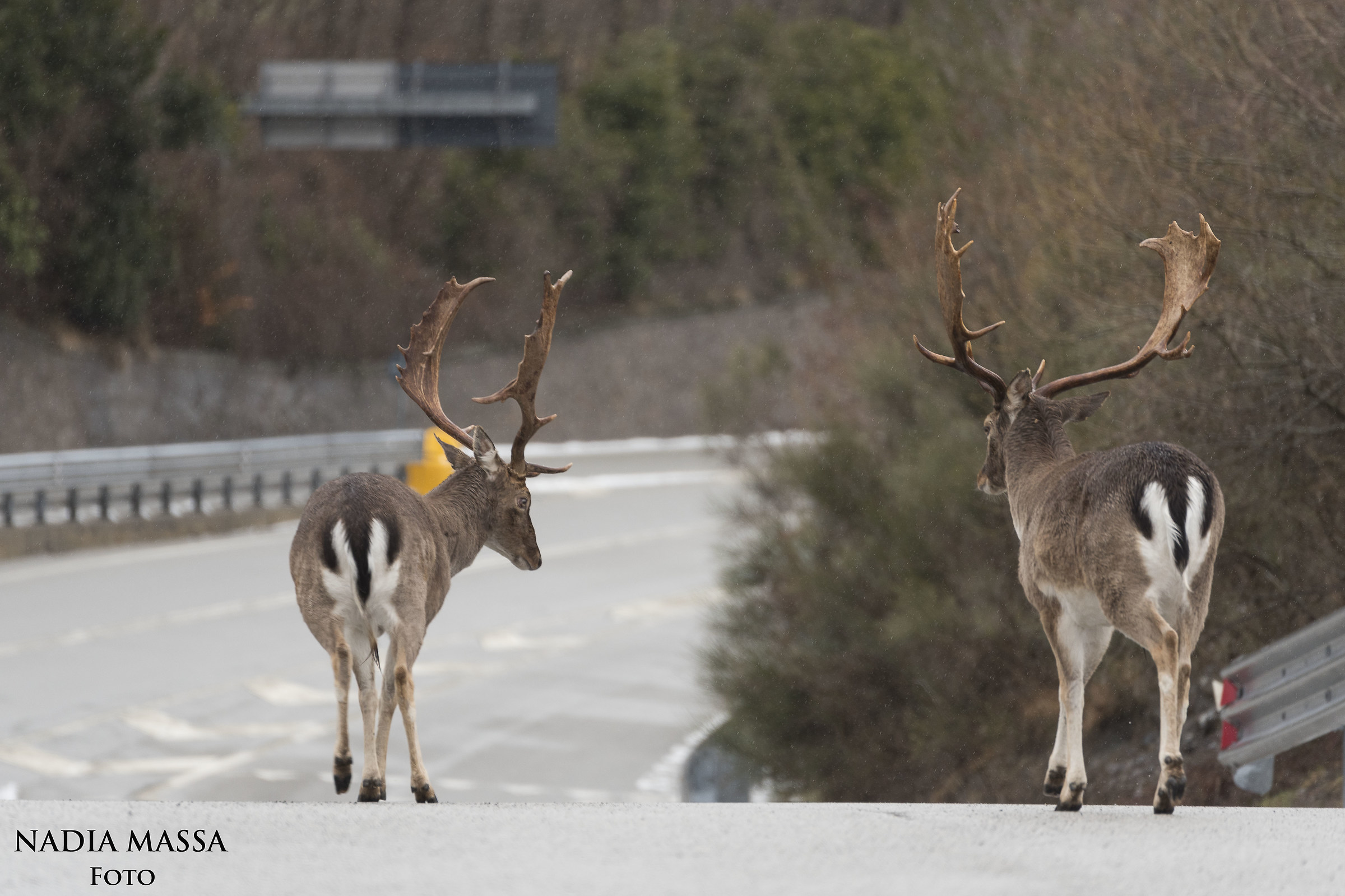 Respect the precedence !!