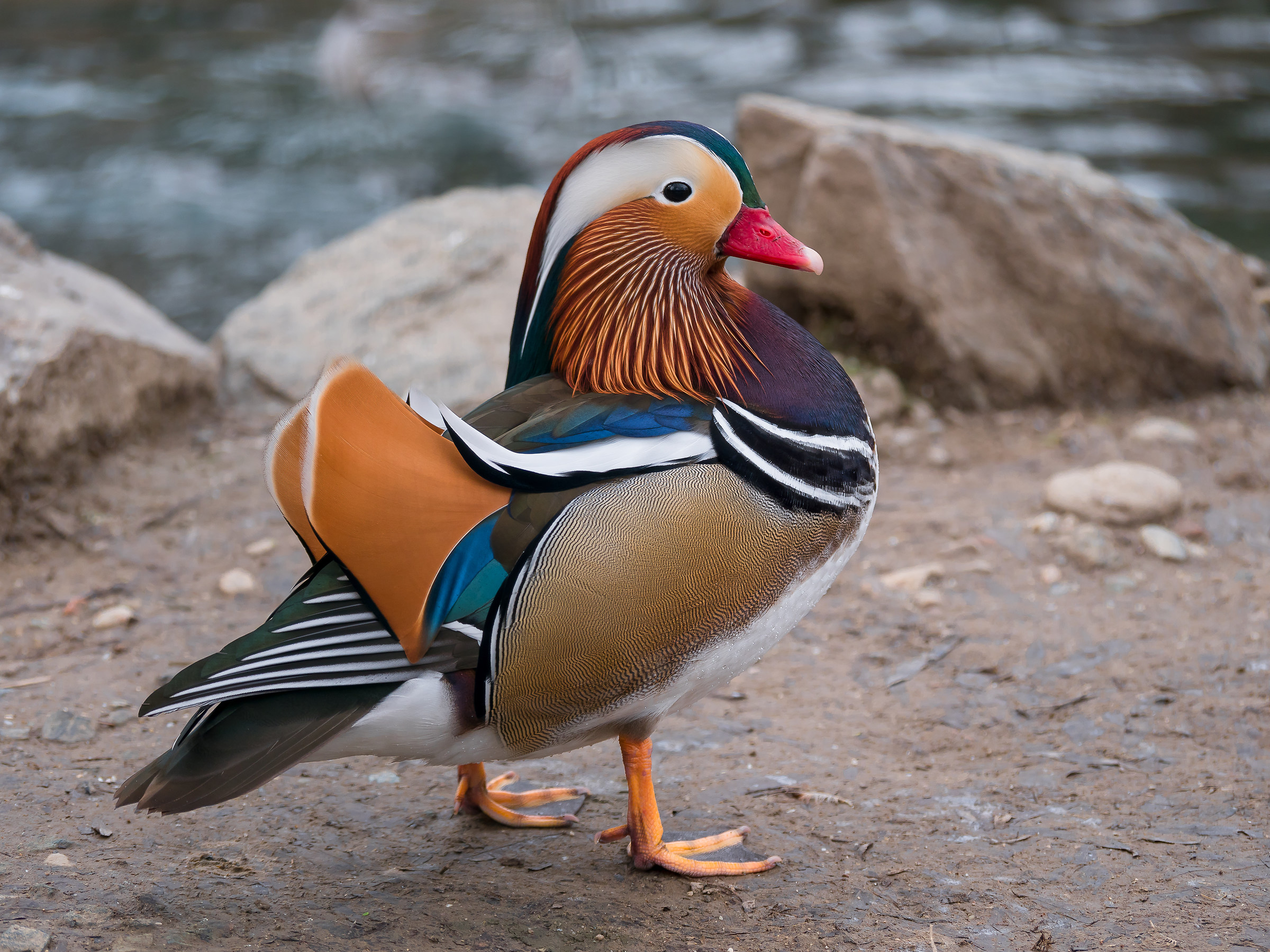 ti stavo aspettando per la foto.......