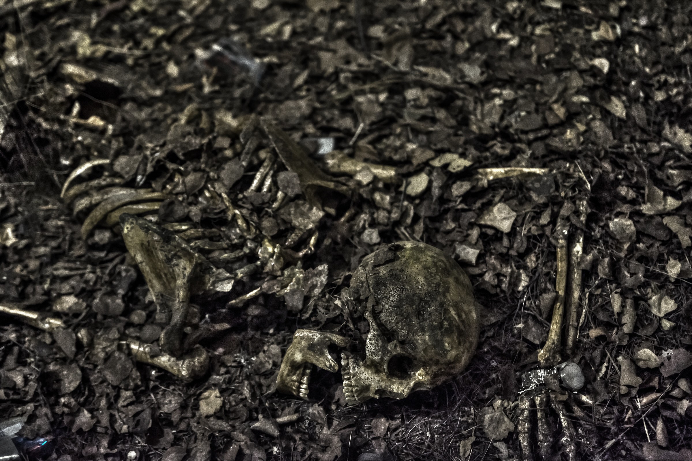 L'ultimo pasto .. Red Bull?