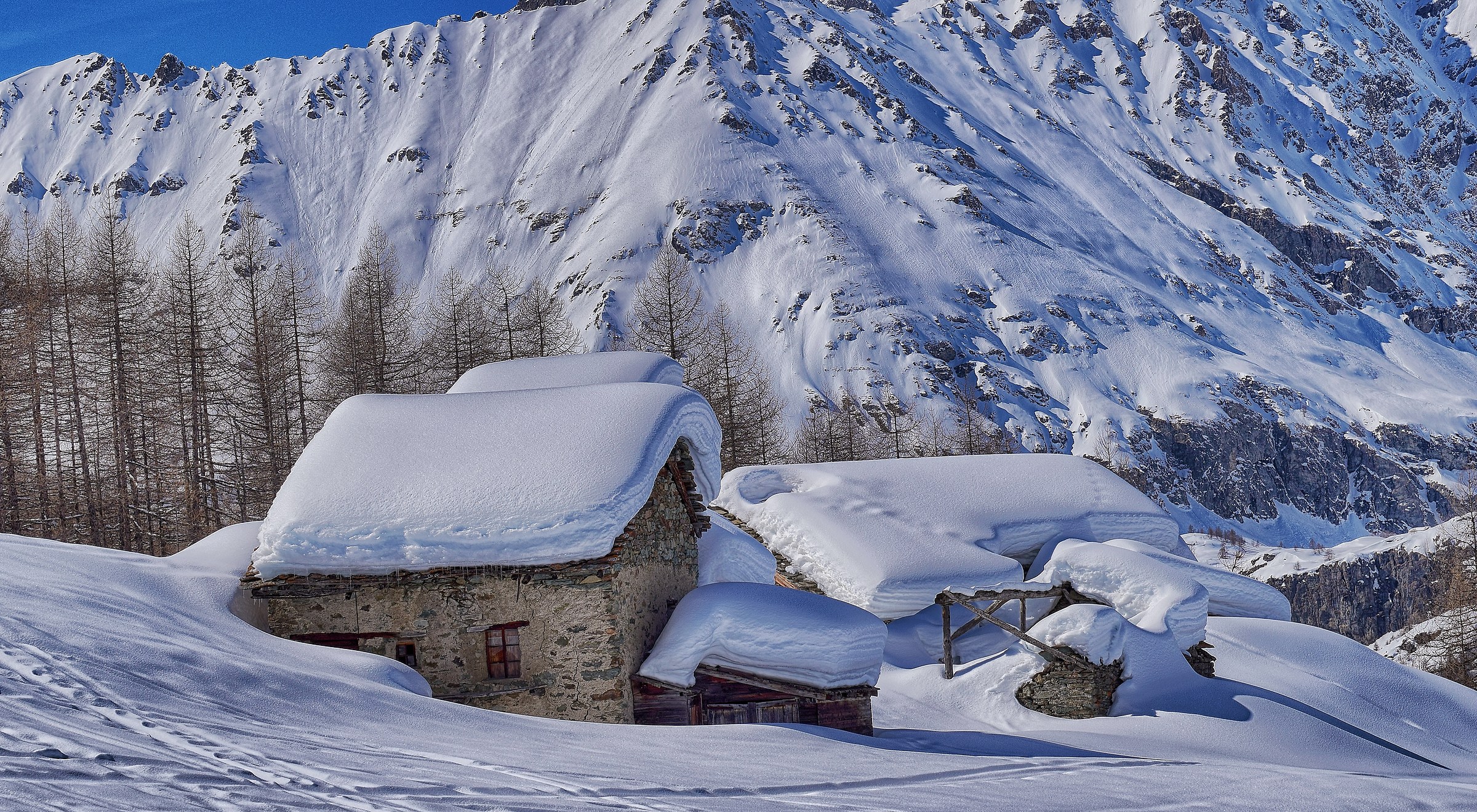 Mistress is the snow ...