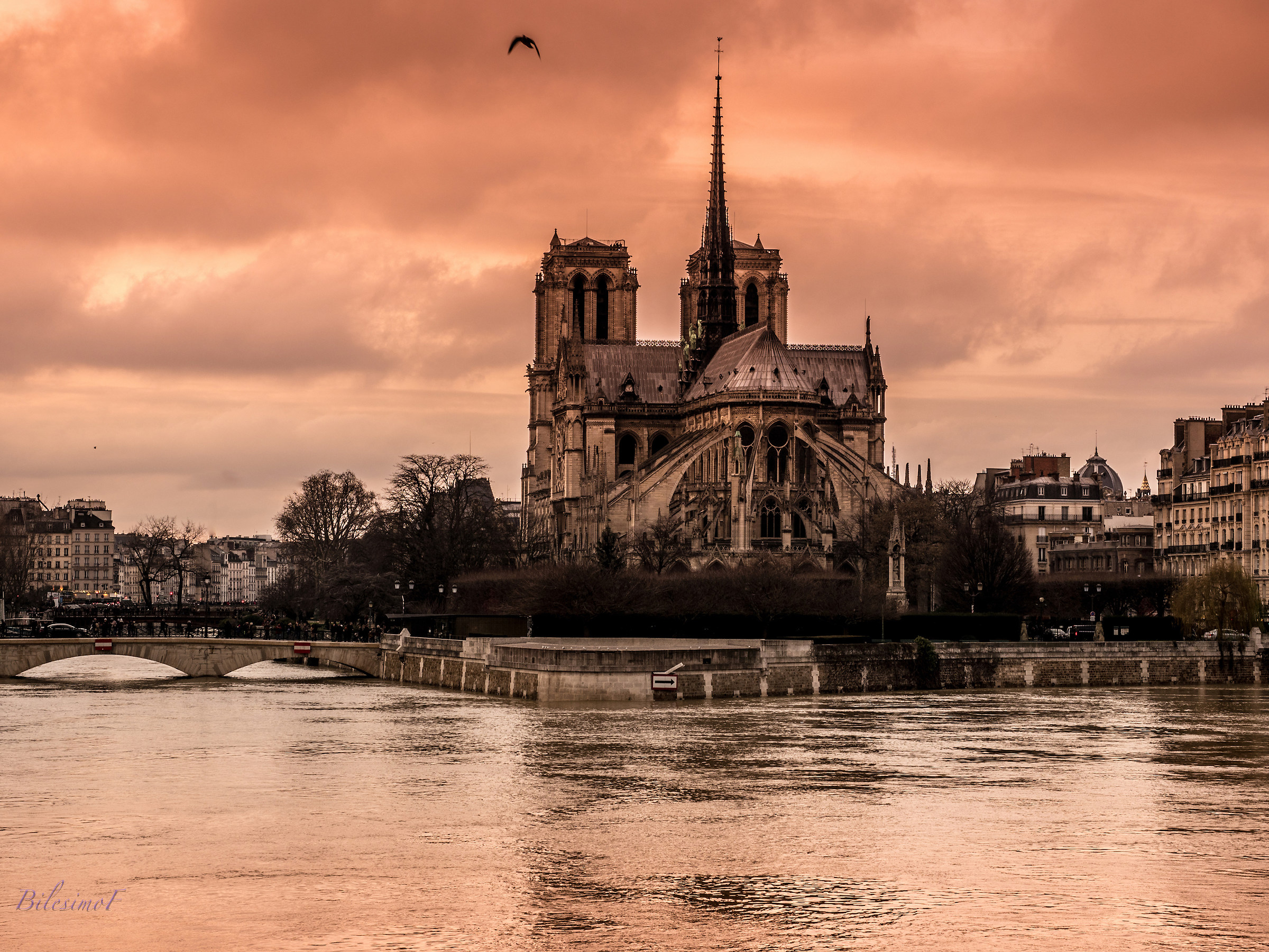 Notre Dame de Paris