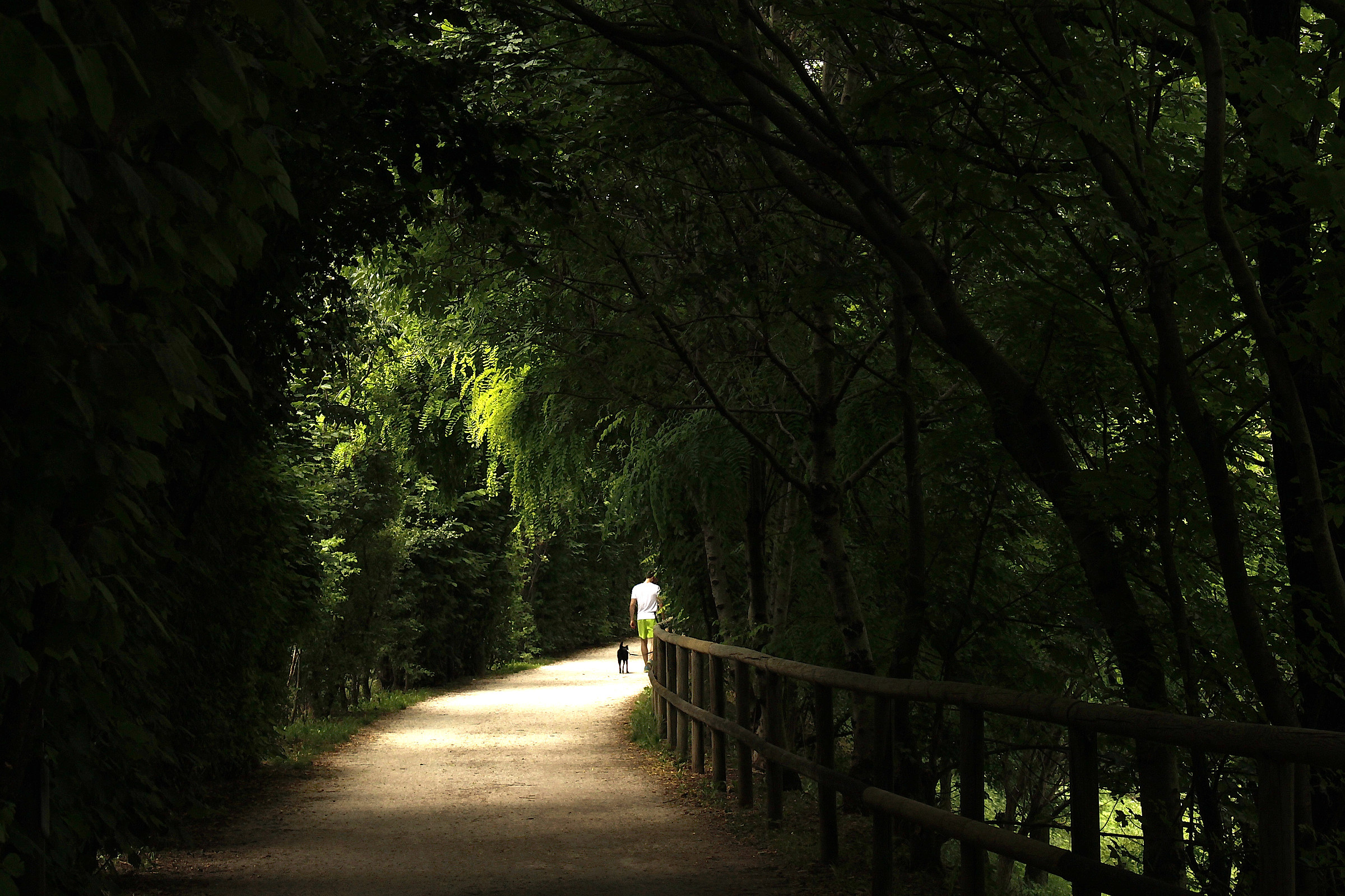 Walking together ...