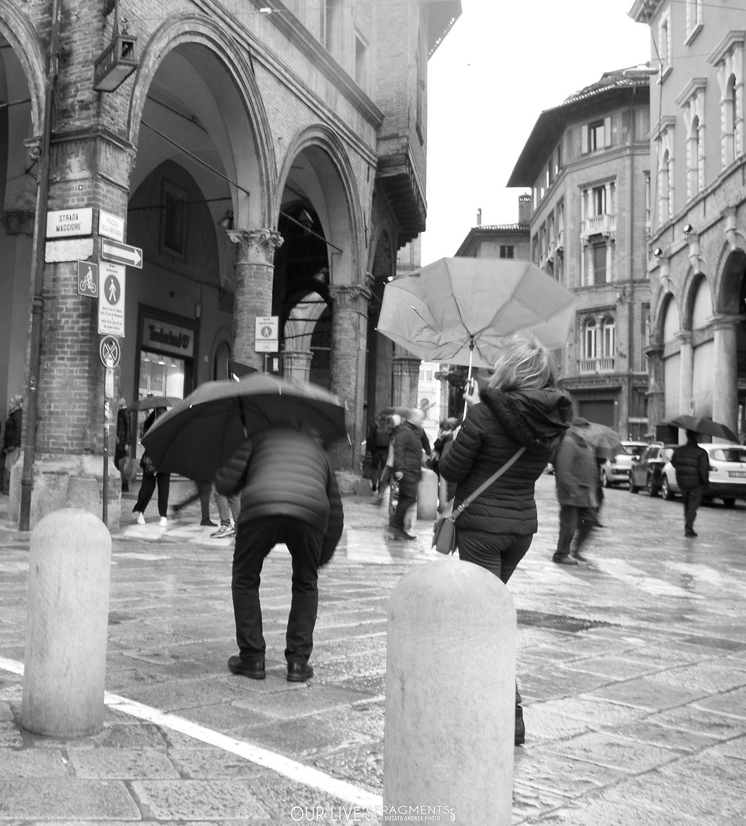 Bologna in bianco e nero