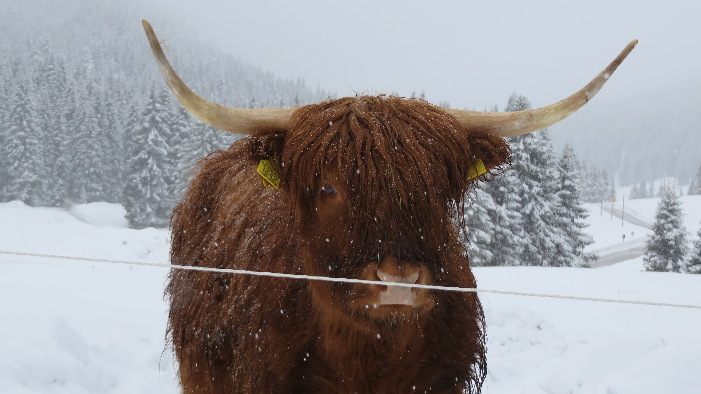 What are you watching ?!