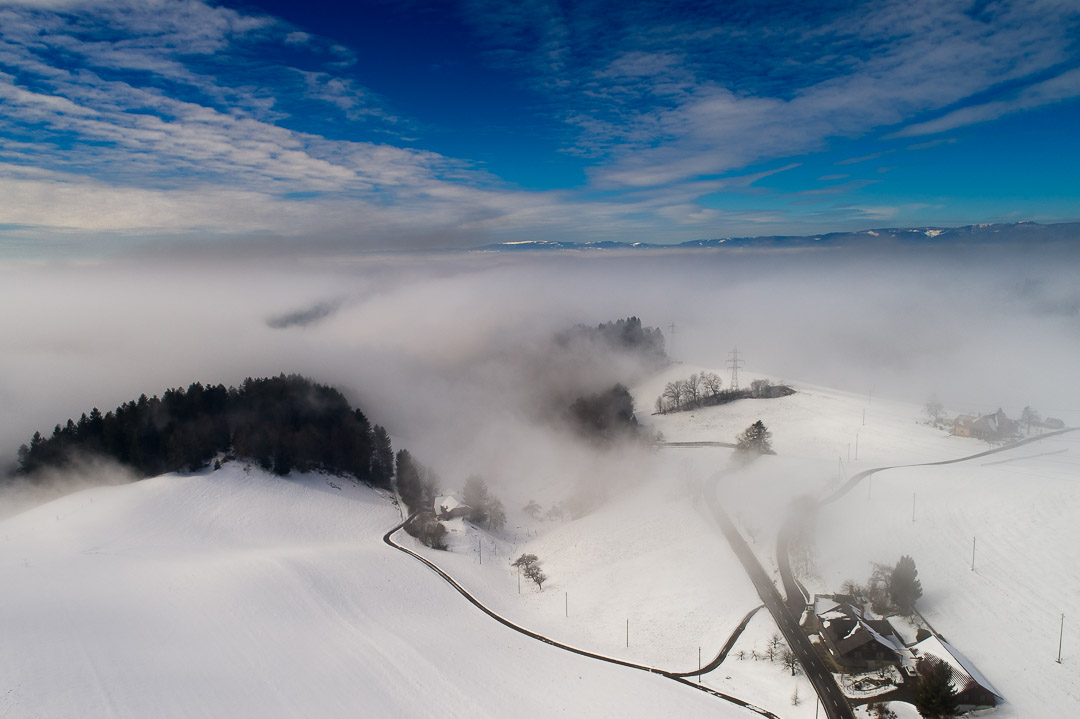 Fog in Winter